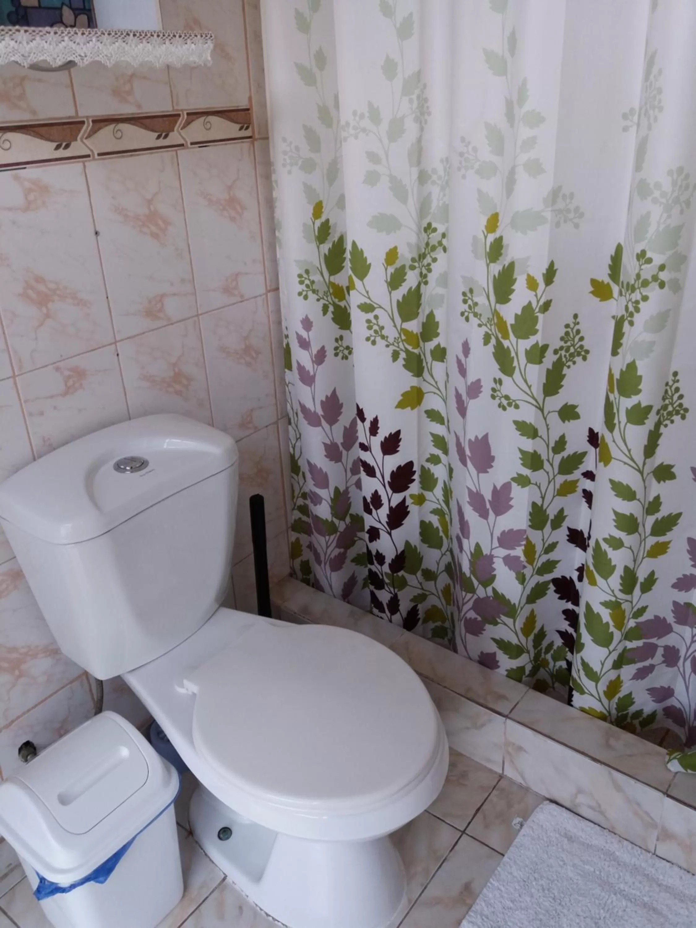 Shower, Bathroom in Hostal Destino Bellavista