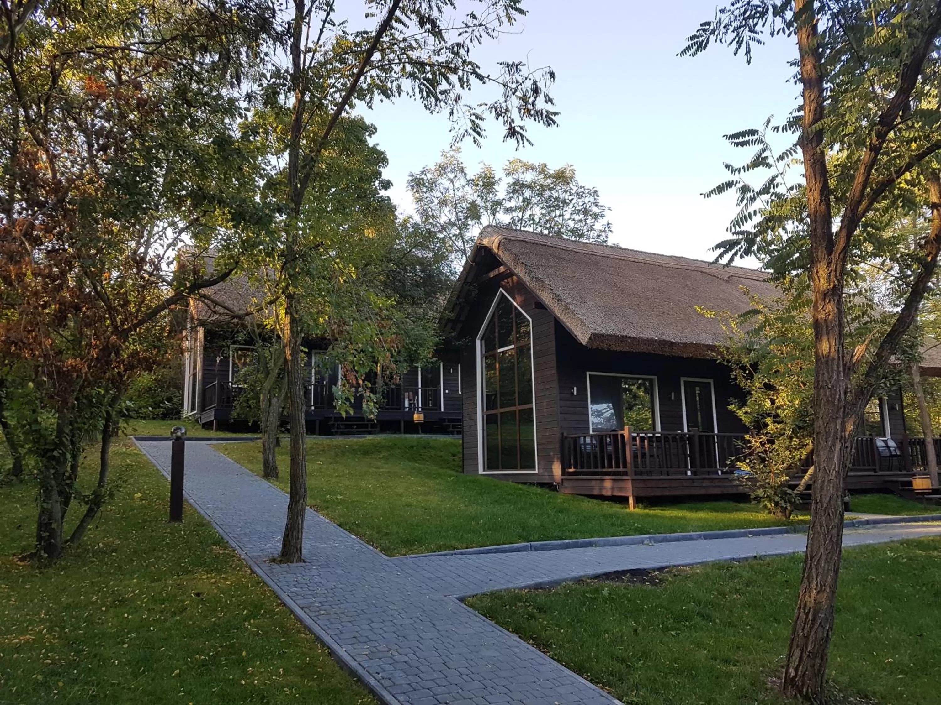 Property Building in Tree House Relax Park
