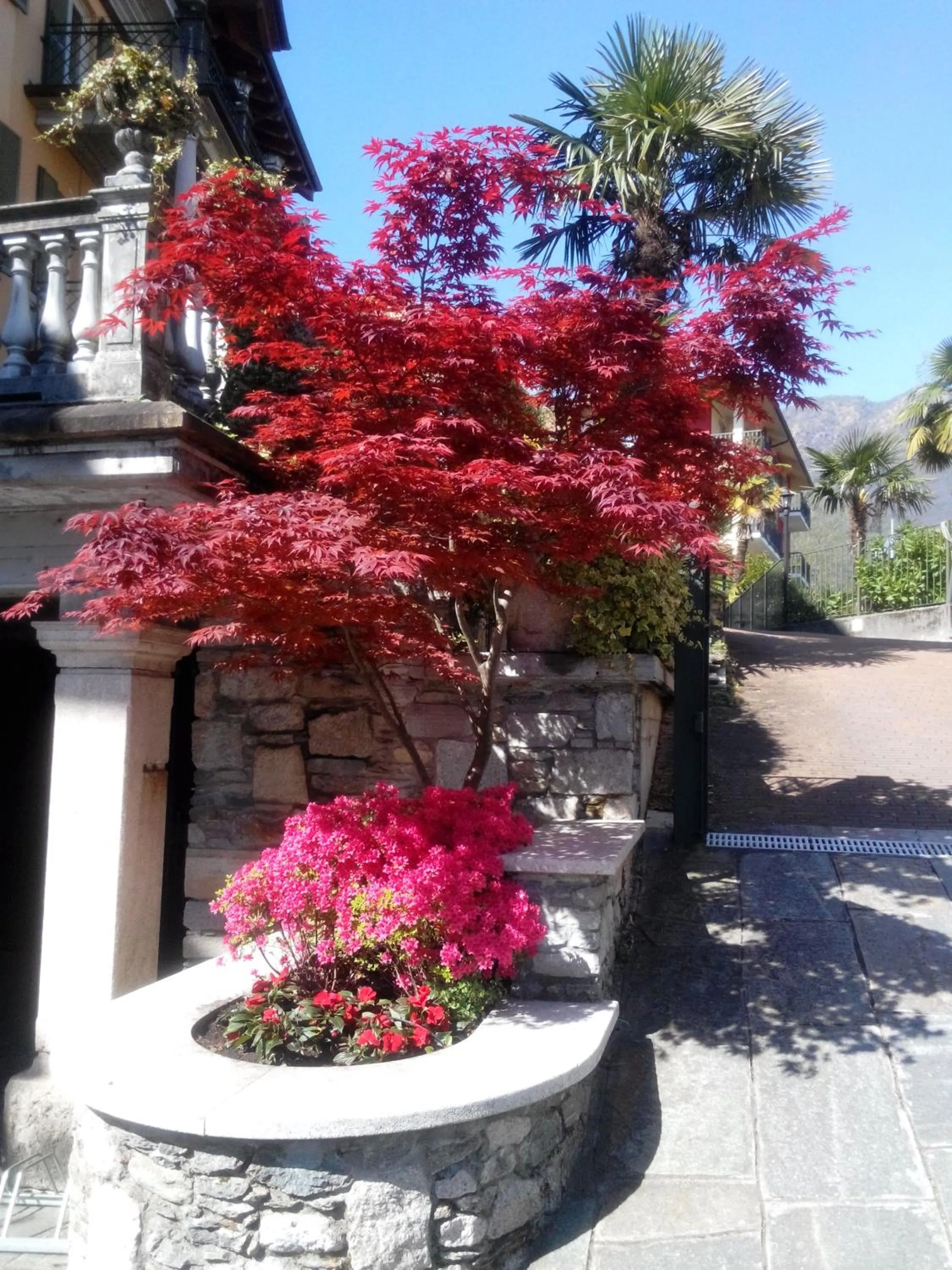 Property building in Hotel Azalea