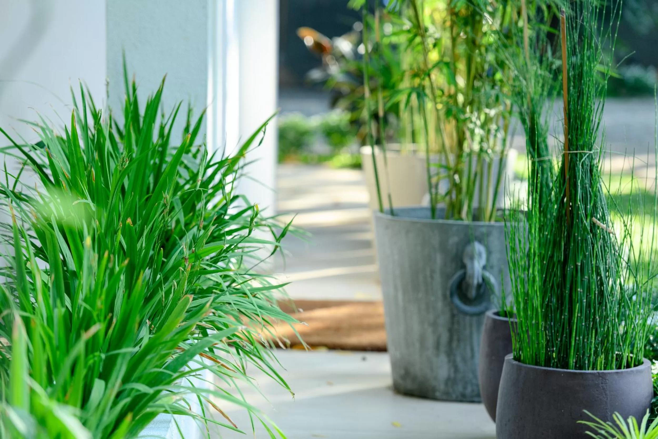 Aryana Boutique Hotel