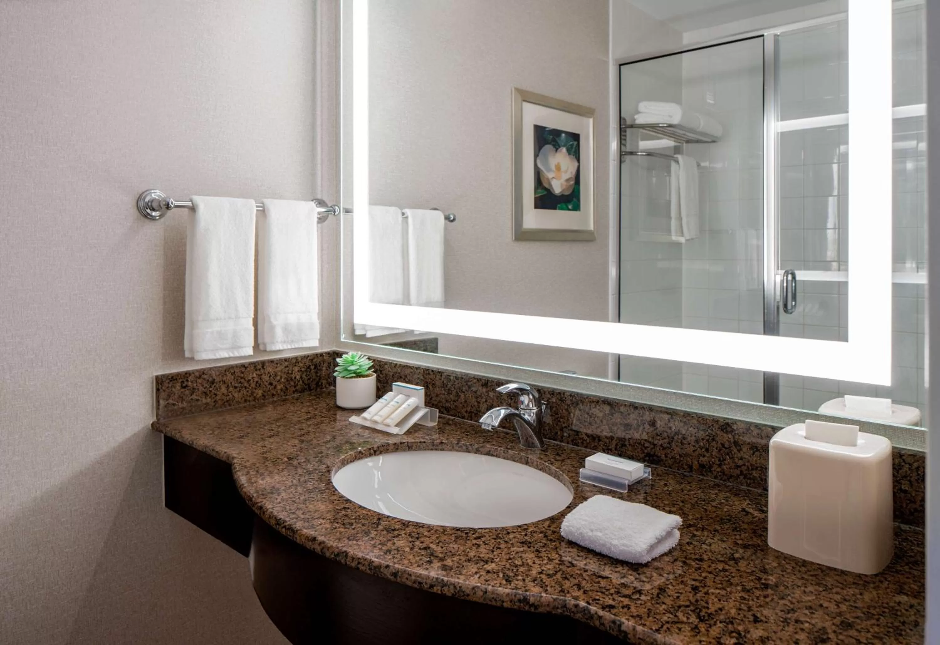Bathroom in Hilton Garden Inn Jackson Downtown