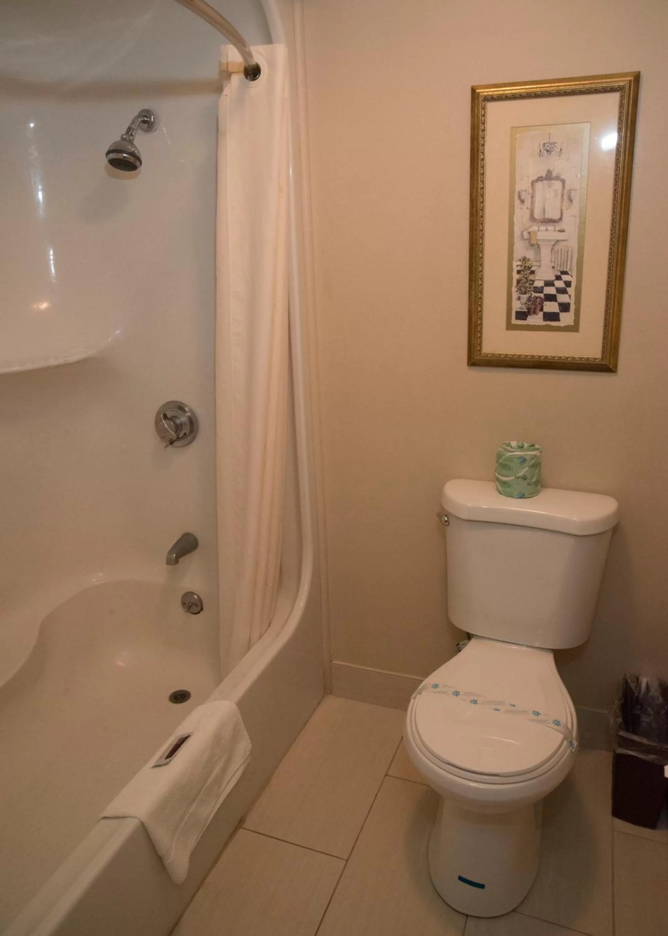 Toilet in Hampton Falls Inn