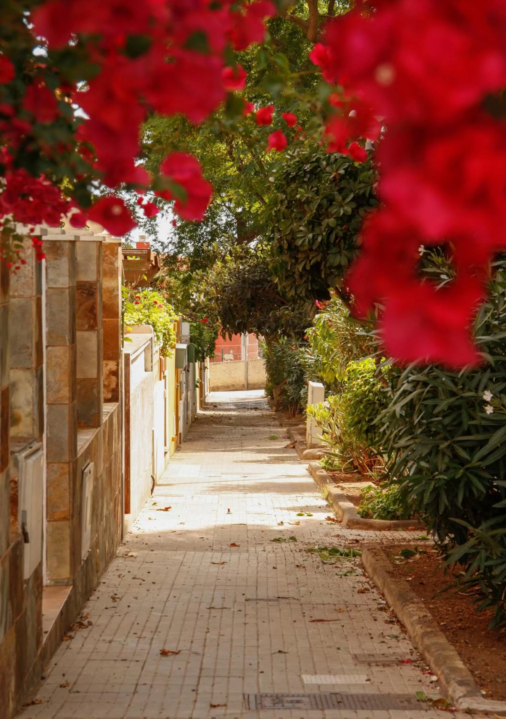 Neighbourhood in Il Sogno di Gio della Laguna