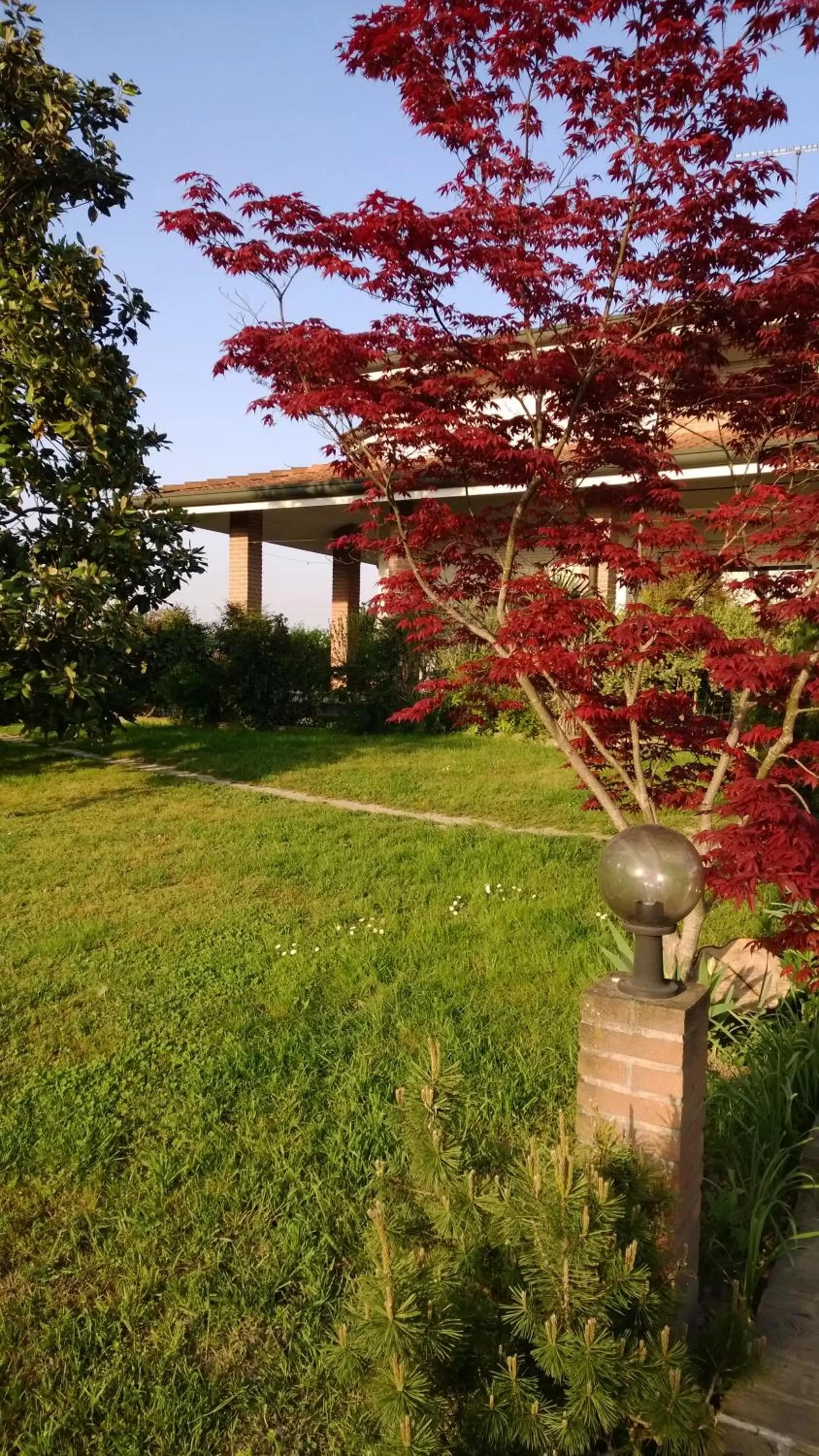 Patio, Garden in B&B Amy&Julie