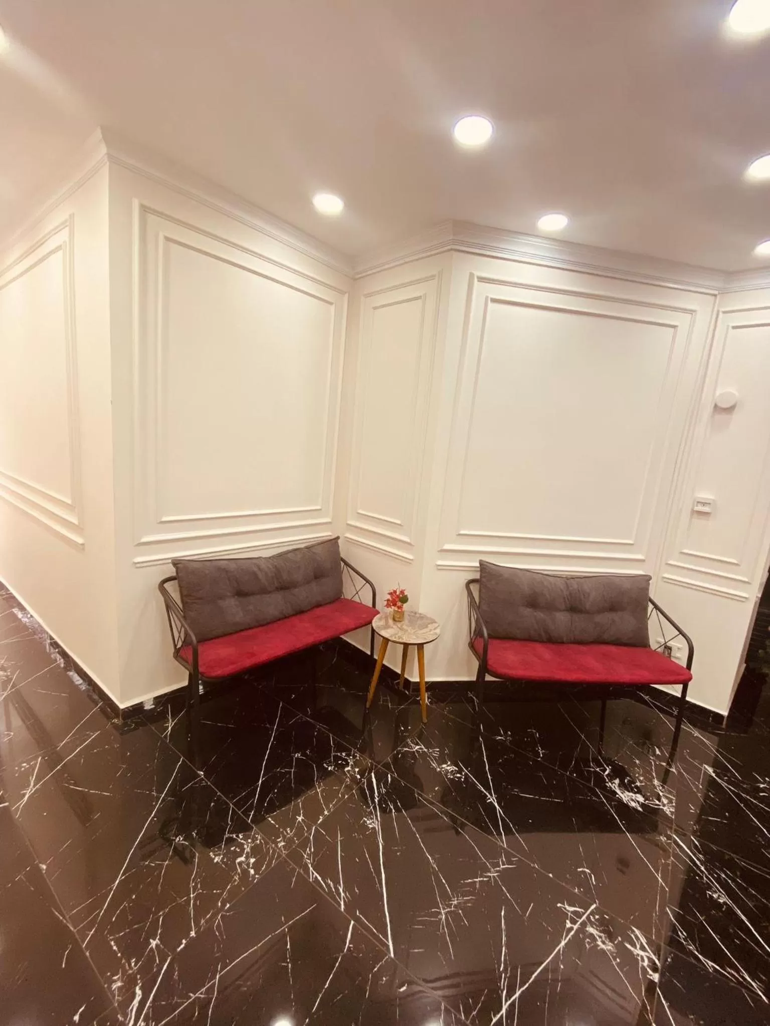 Lobby or reception, Seating Area in Asteria Hotel Sirkeci