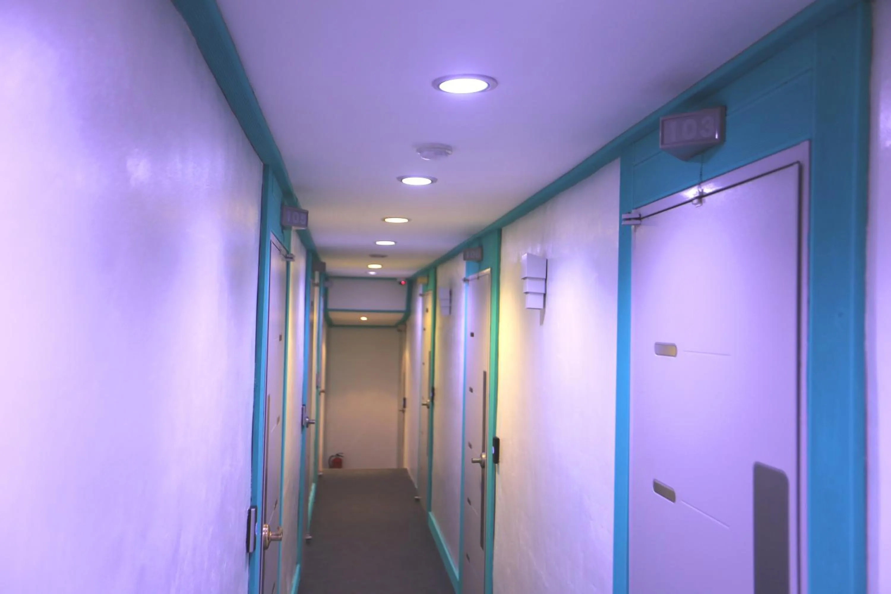 Must Stay Hotel Myeongdong