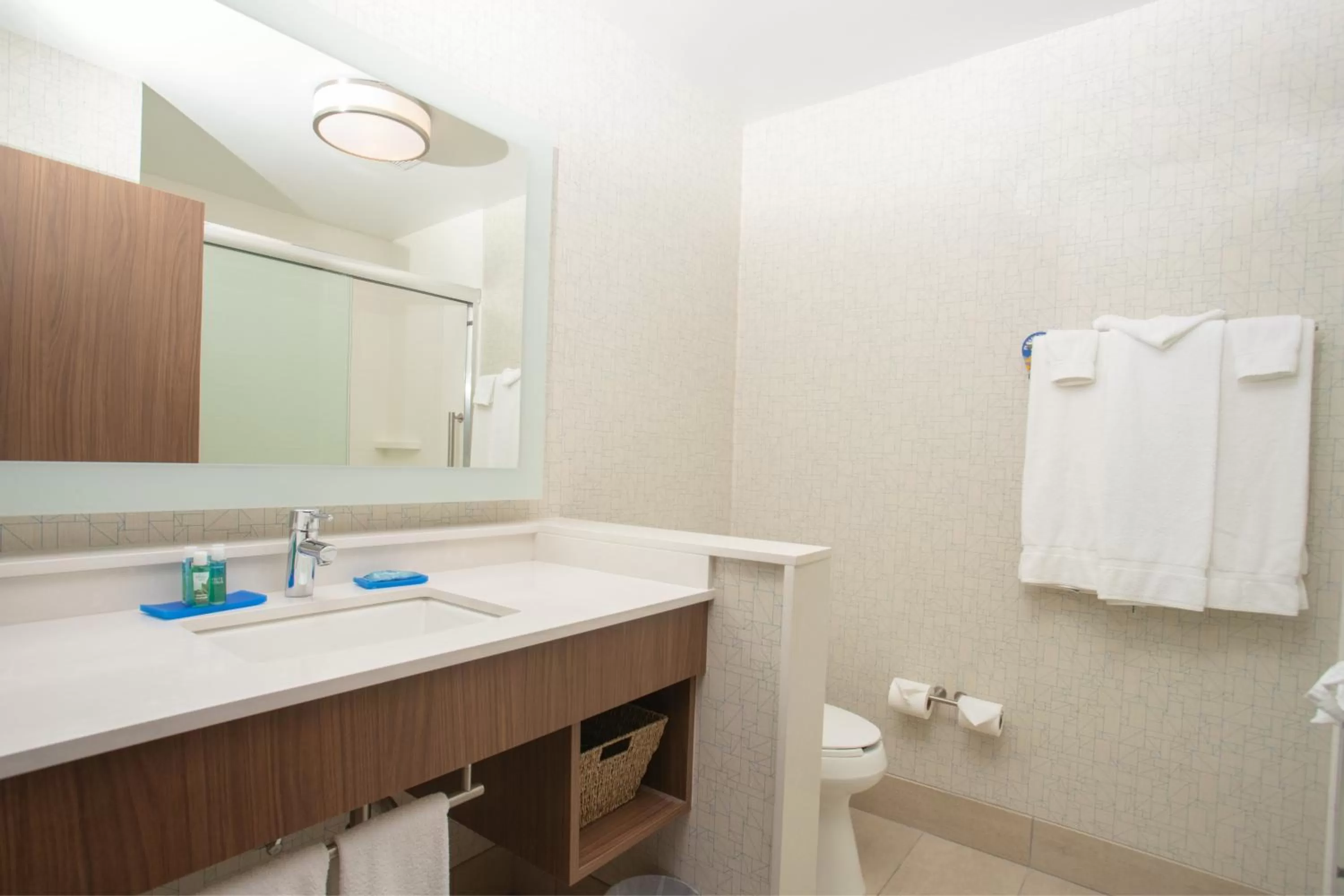 Bathroom in Holiday Inn Express Houghton-Keweenaw by IHG