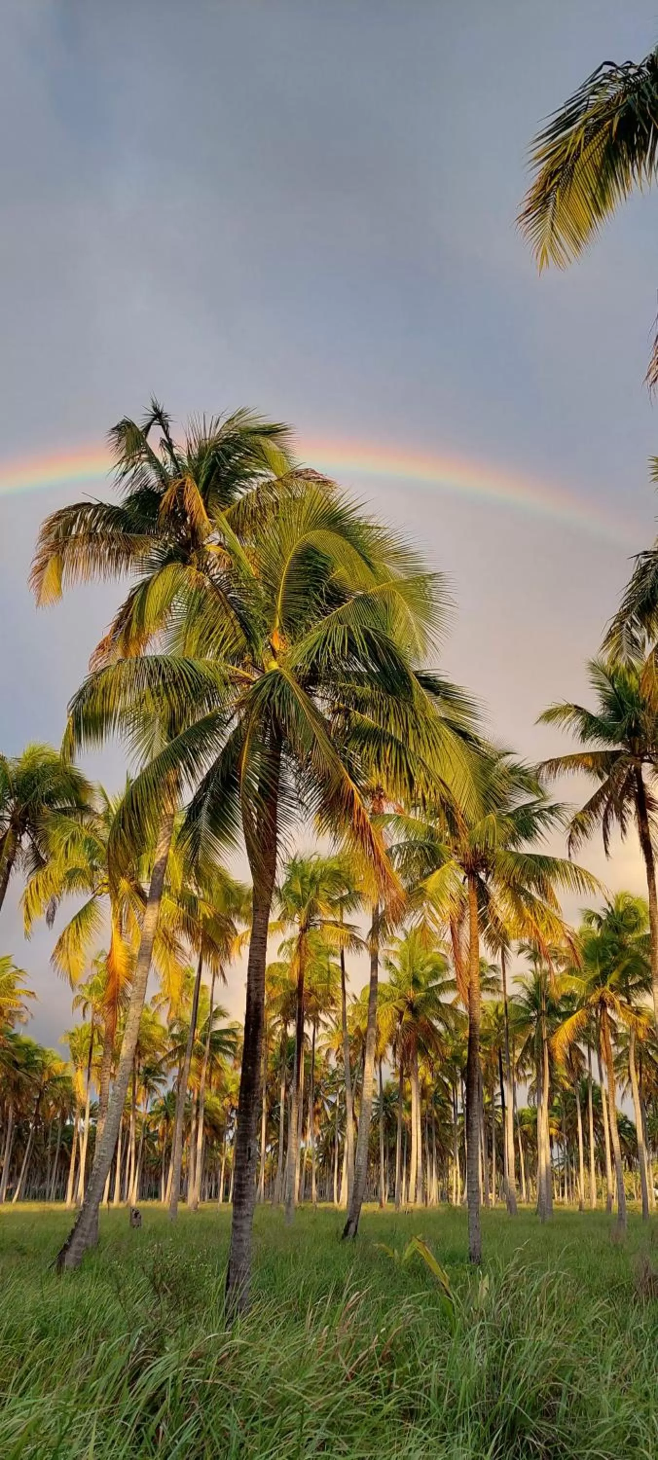 Natural landscape in Arataba Hotel Boutique e Bistrô - 150 mts do mar