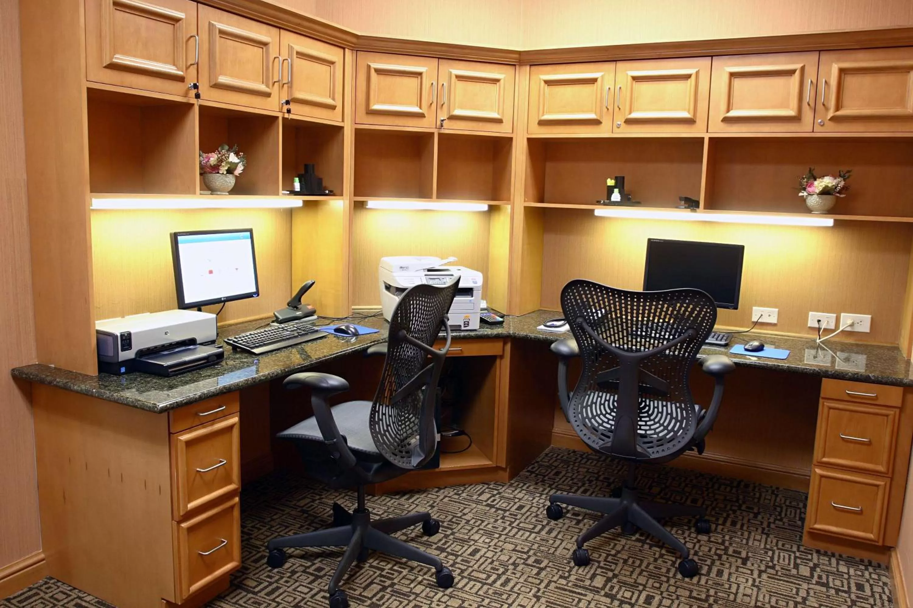 Business facilities in Hilton Garden Inn Chesapeake/Suffolk