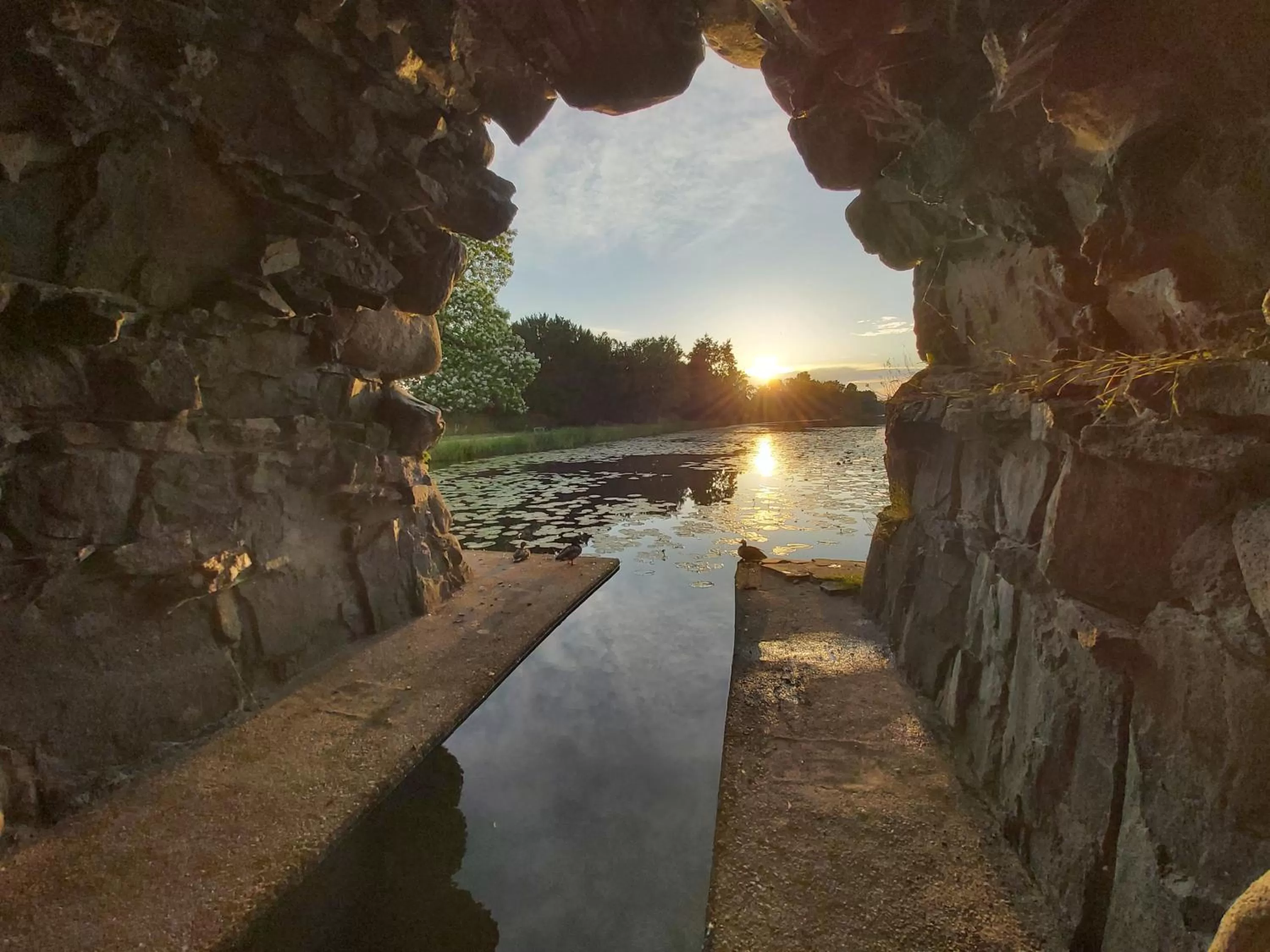 Nearby landmark in Hotel Landhaus Wörlitzer Hof
