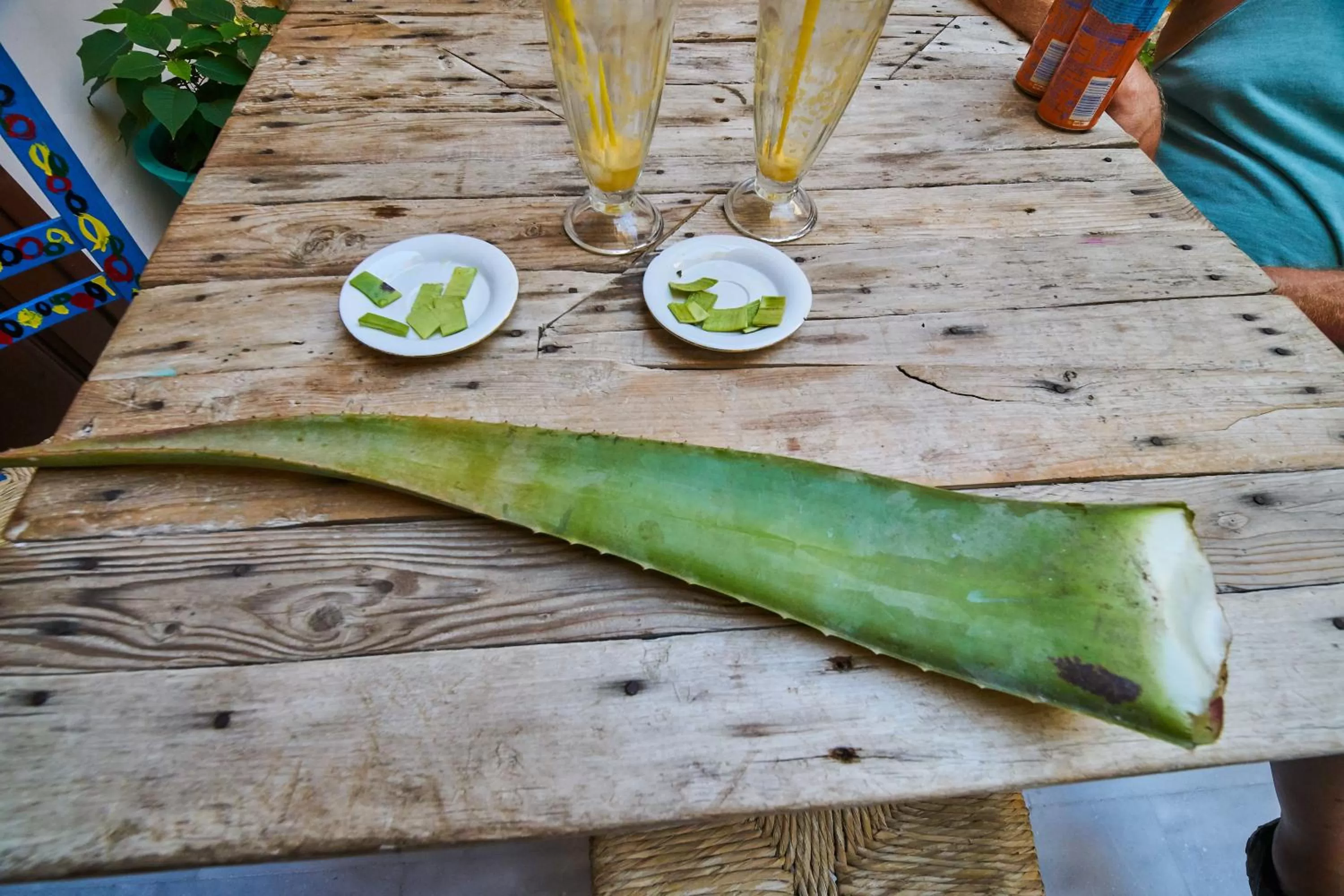 Food close-up in Poco Loco Bed & Breakfast