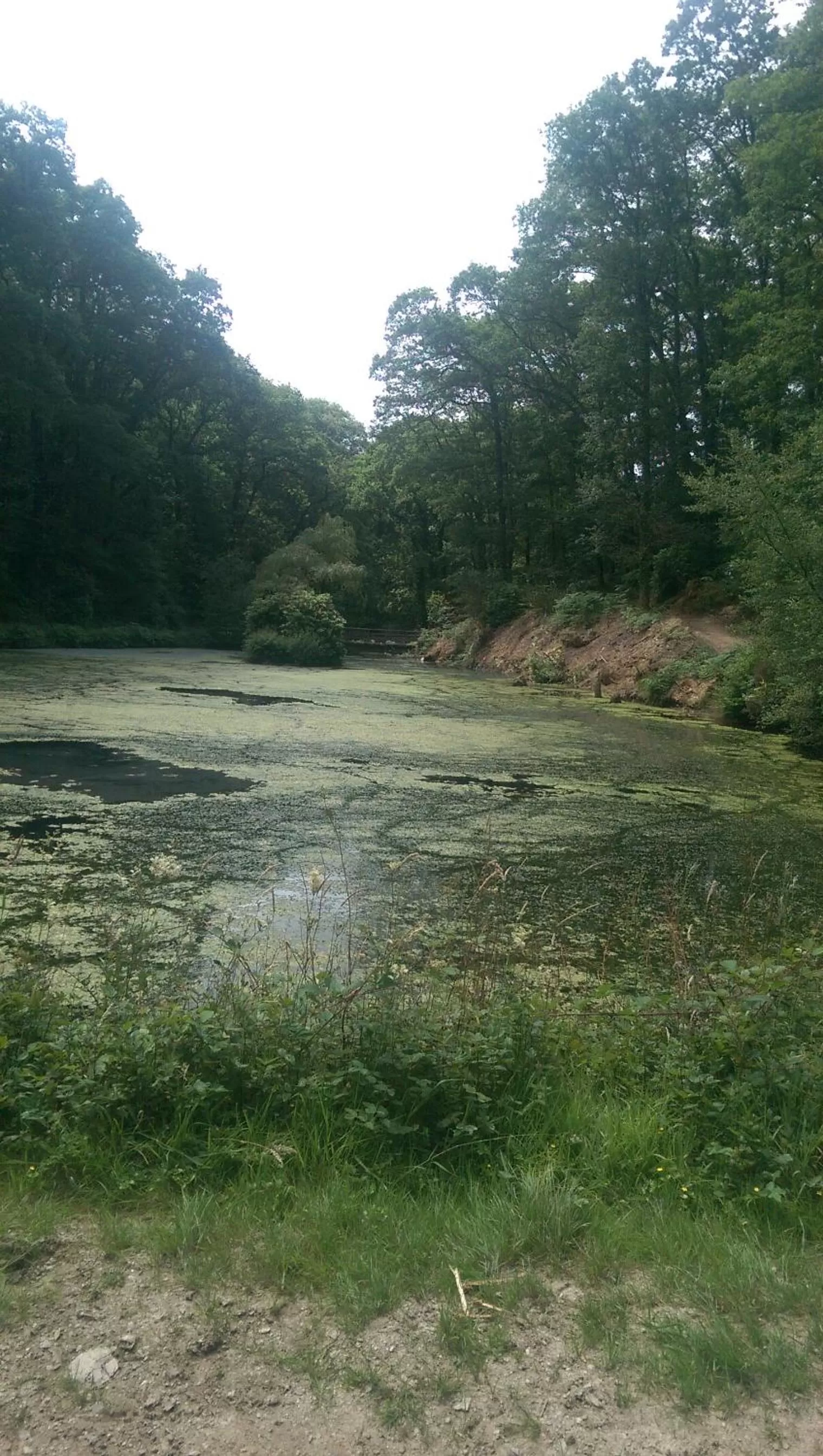 Property building in Great Trethew Hotel - Self Catering Lodges - Bar & Restaurant