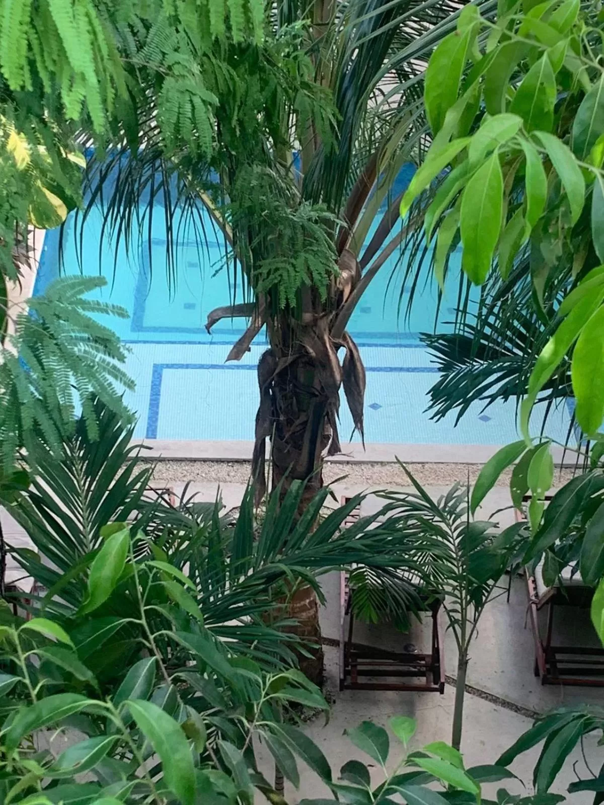 Property building in Los Arcos Hotel - TULUM