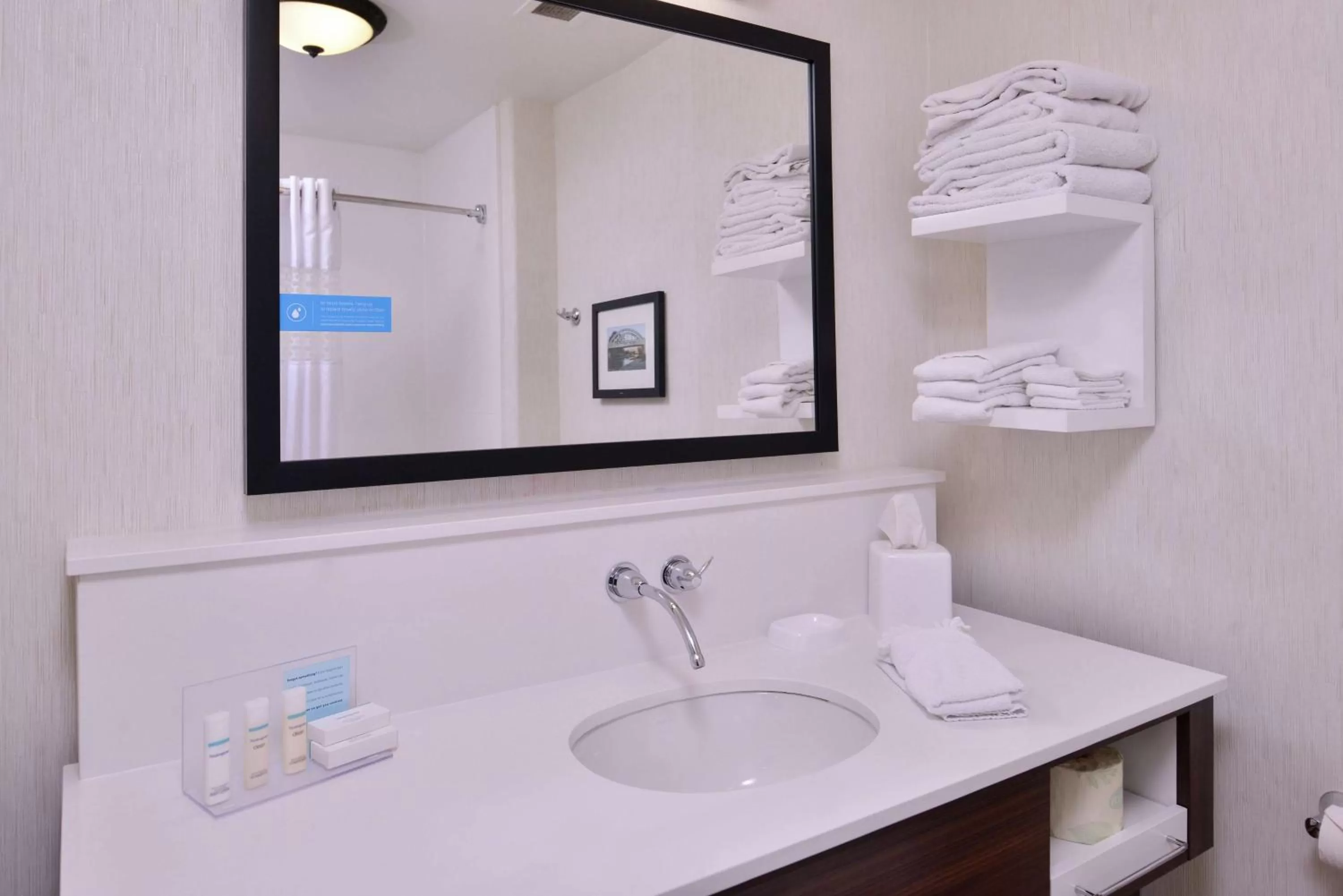 Bathroom in Hampton Inn & Suites Woodland-Sacramento Area