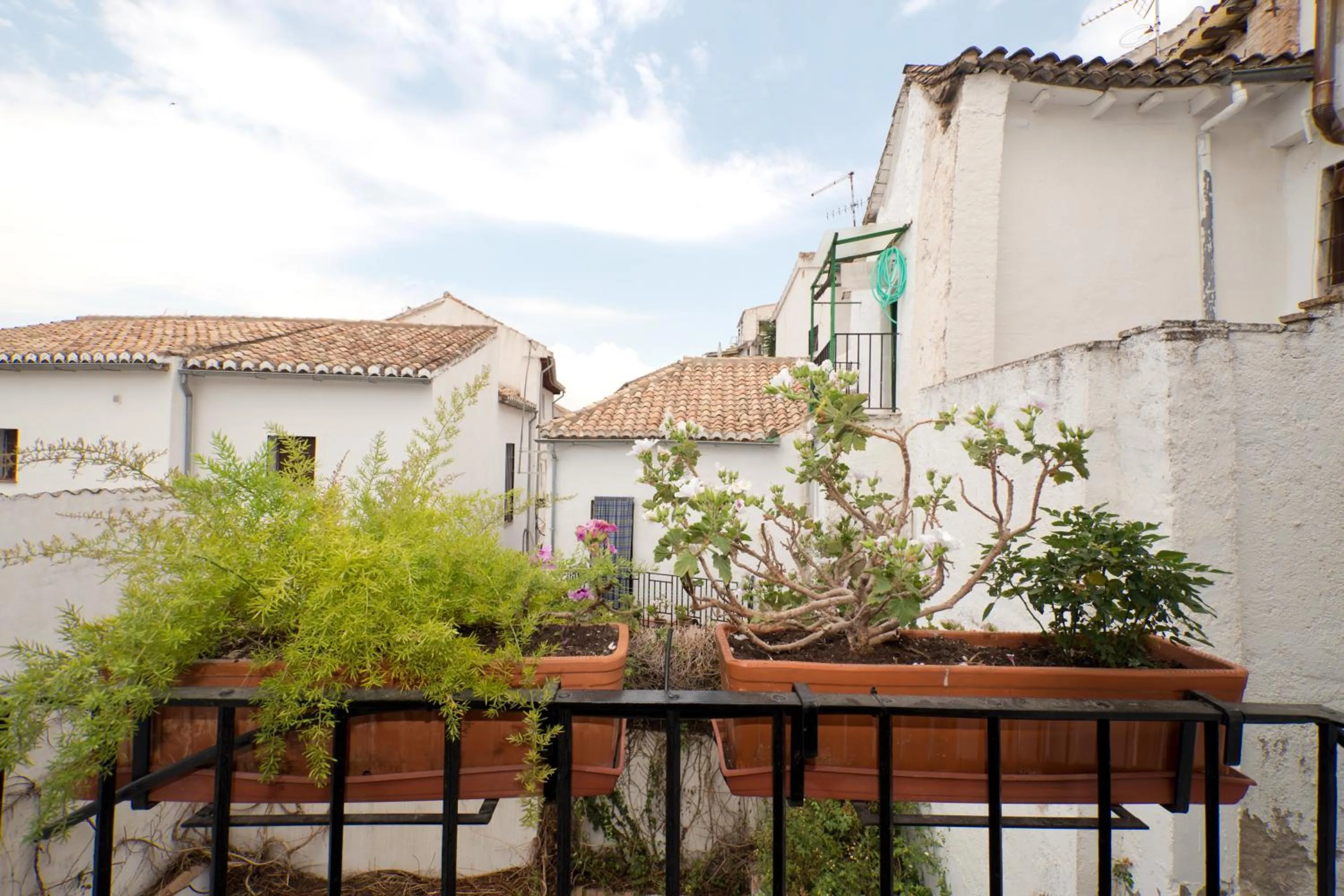 Photo of the whole room in Oasis Backpackers' Hostel Granada