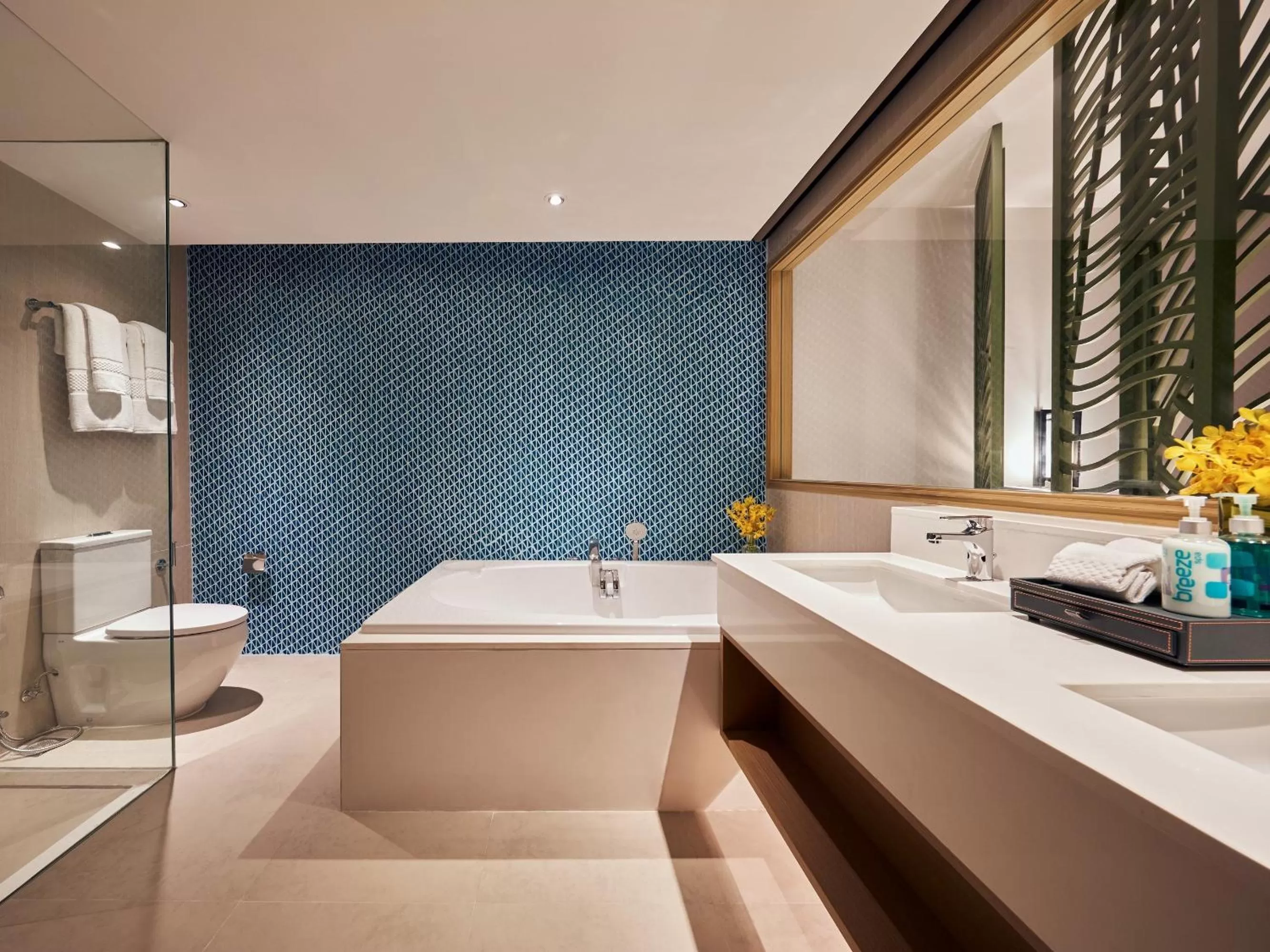 Toilet in Amari Koh Samui