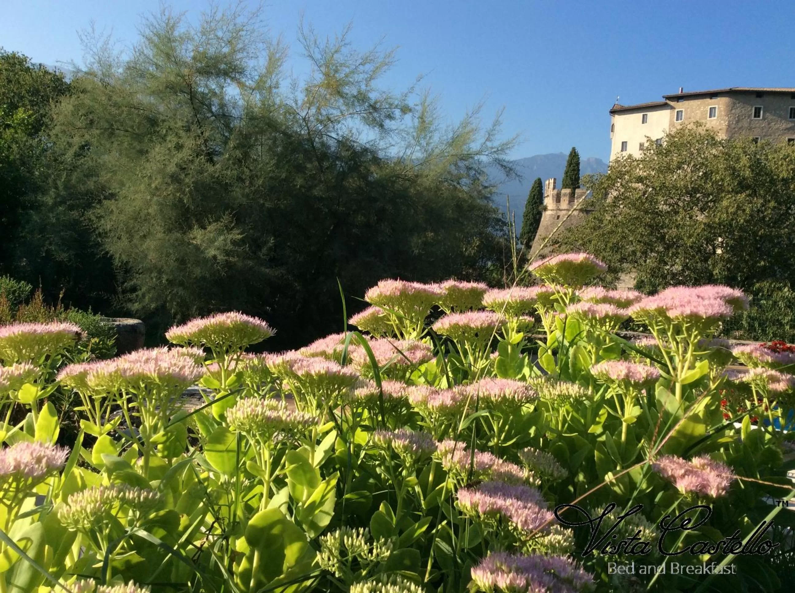 Spring in Vista Castello