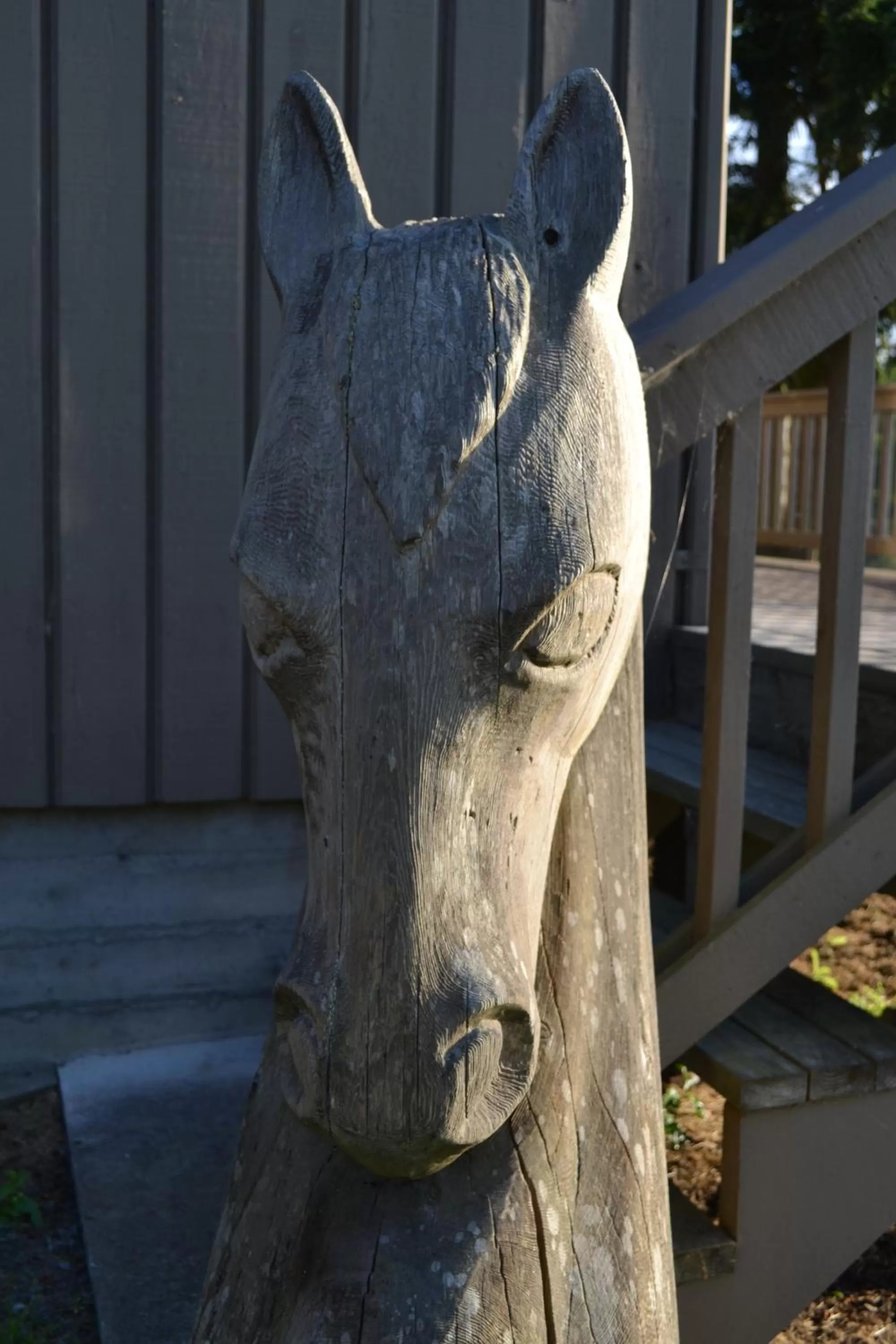 Natural landscape in Wildwood Farm Bed & Breakfast