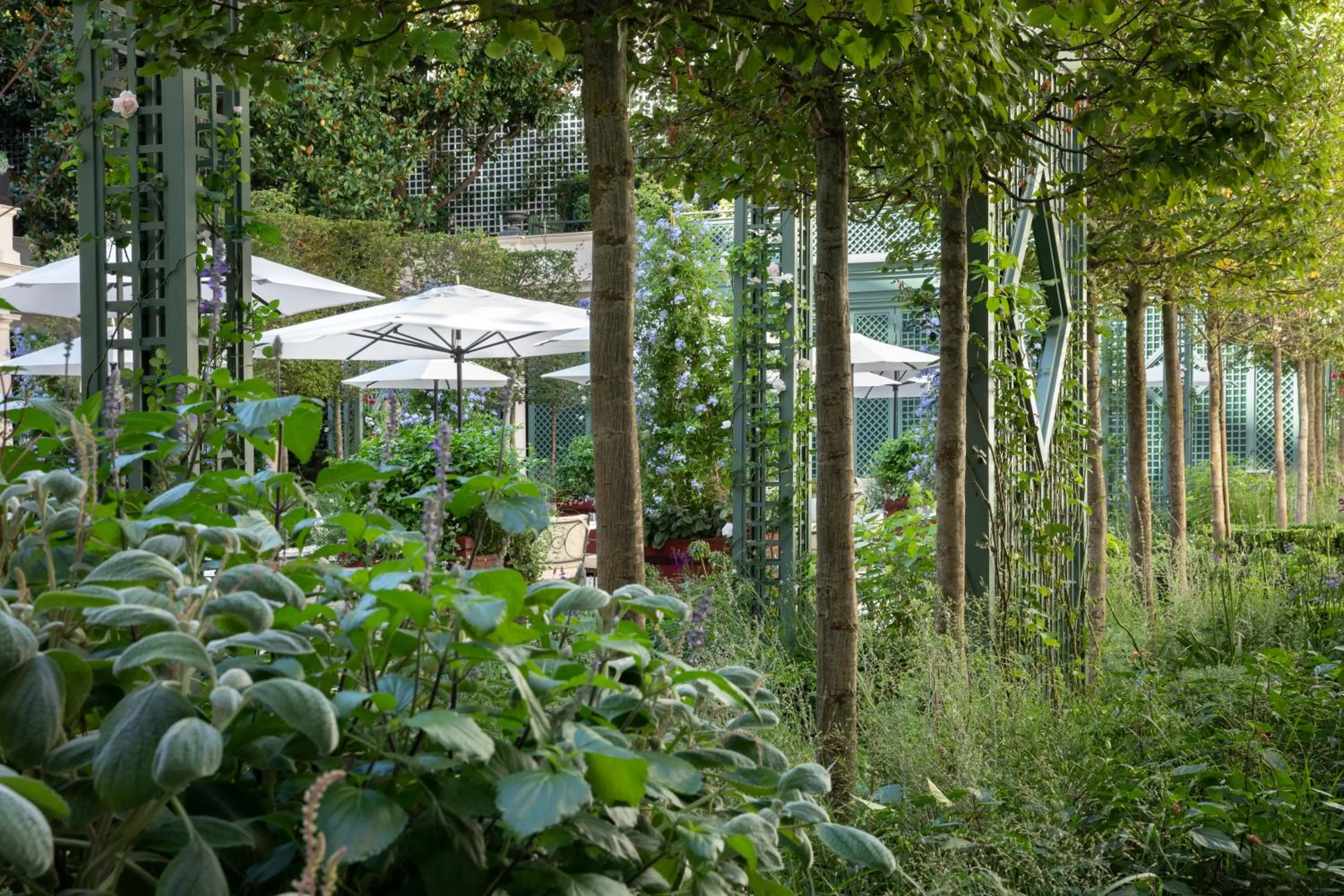 Garden in Le Bristol Paris, Oetker Hotels