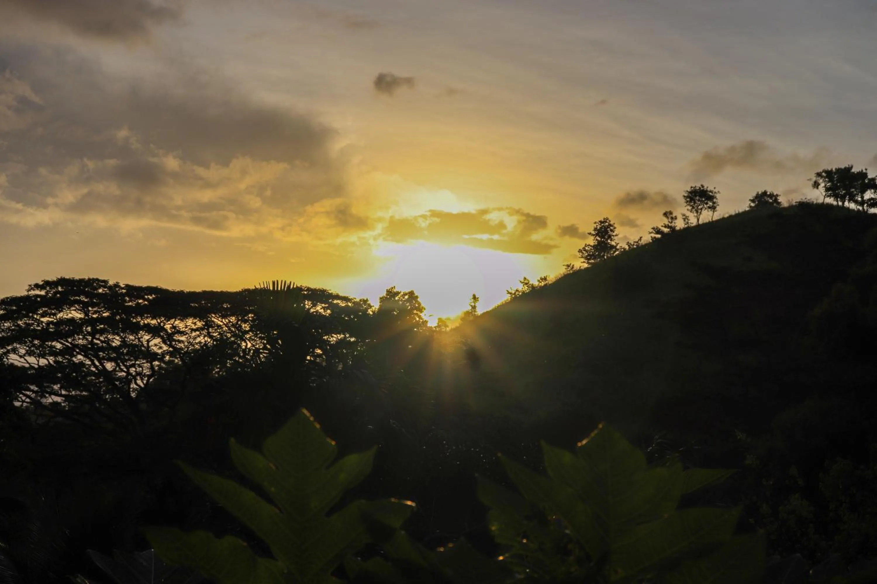 Patio in Hanthana House