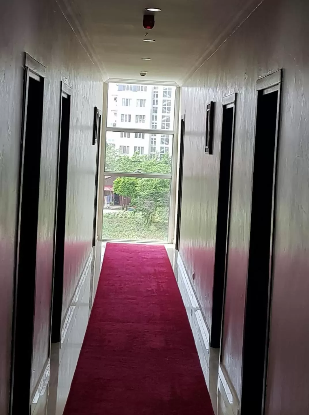 Balcony/Terrace in Hotel Royal Palace