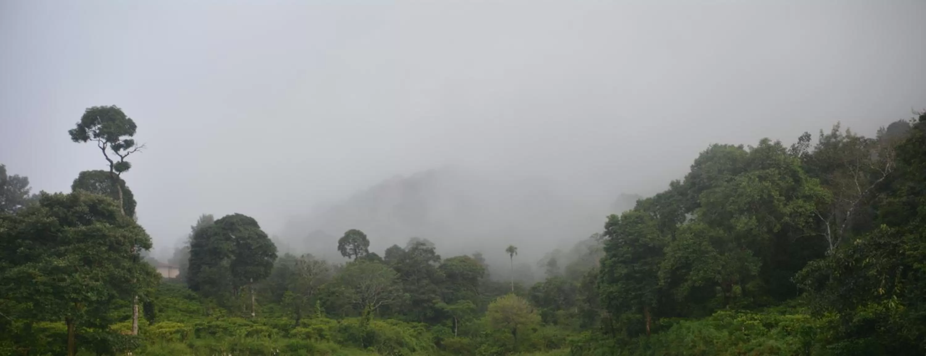 Hiking in Magnolia Estates & Resorts