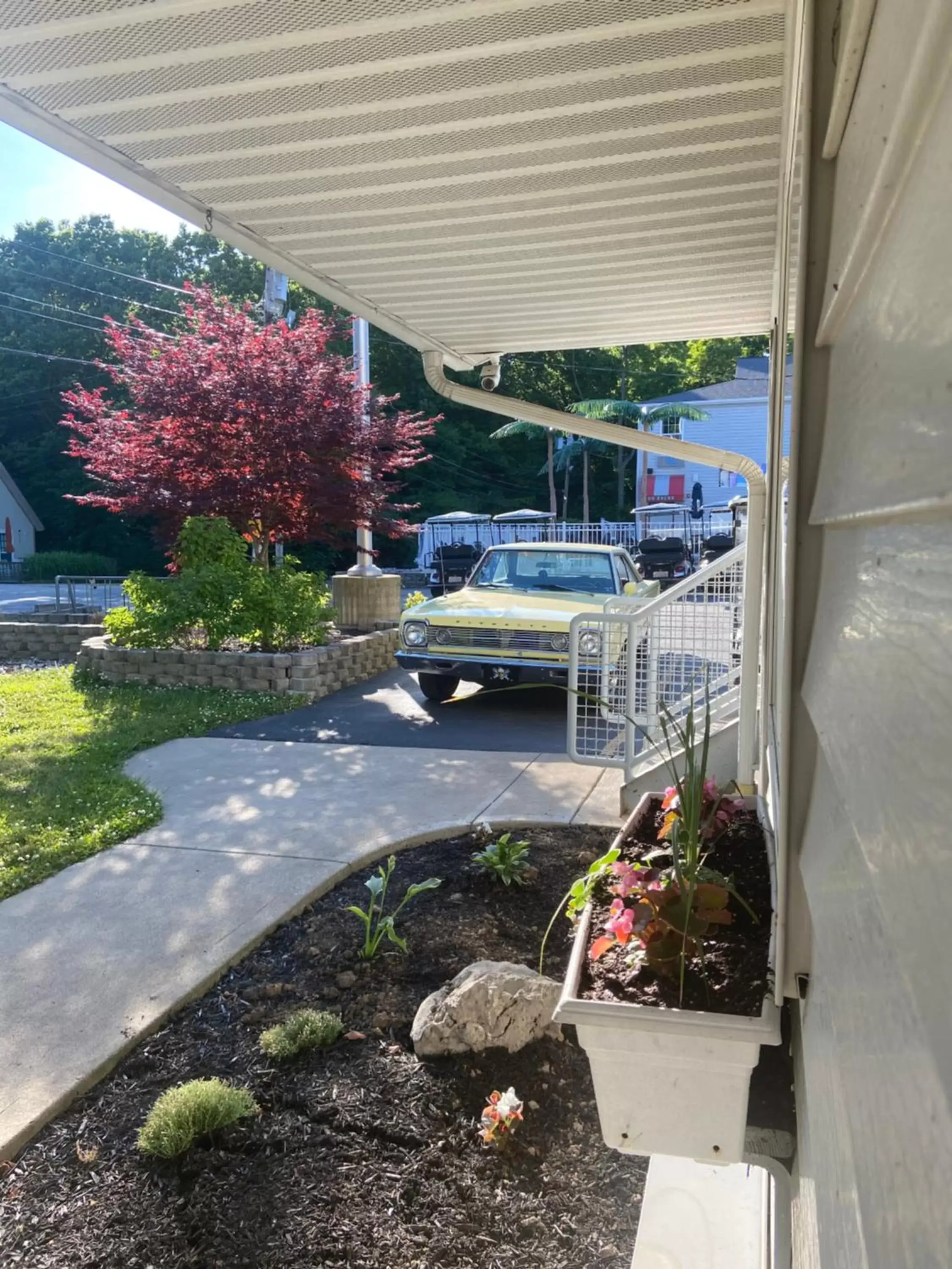 Natural landscape in Bay Lodging Resort Natural landscape in Bay Lodging Resort