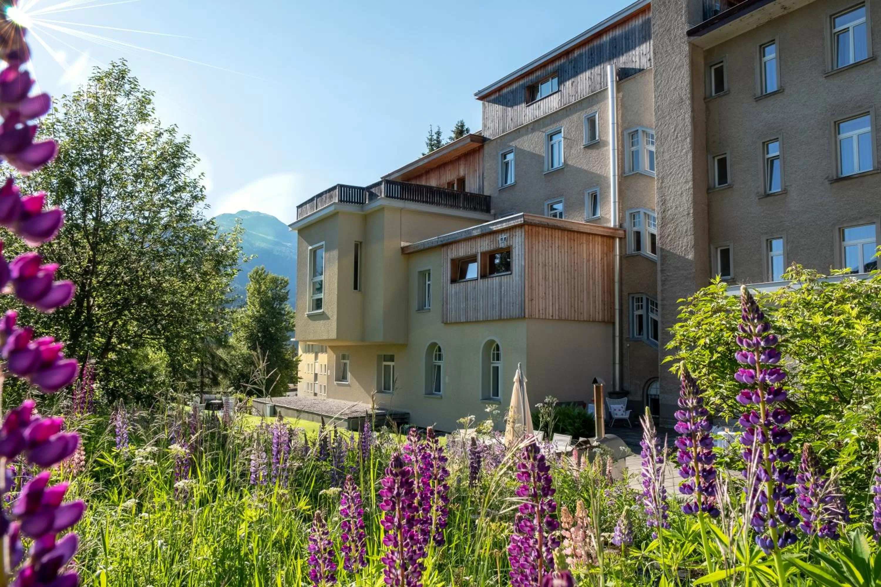 Property building in Hotel Edelweiss