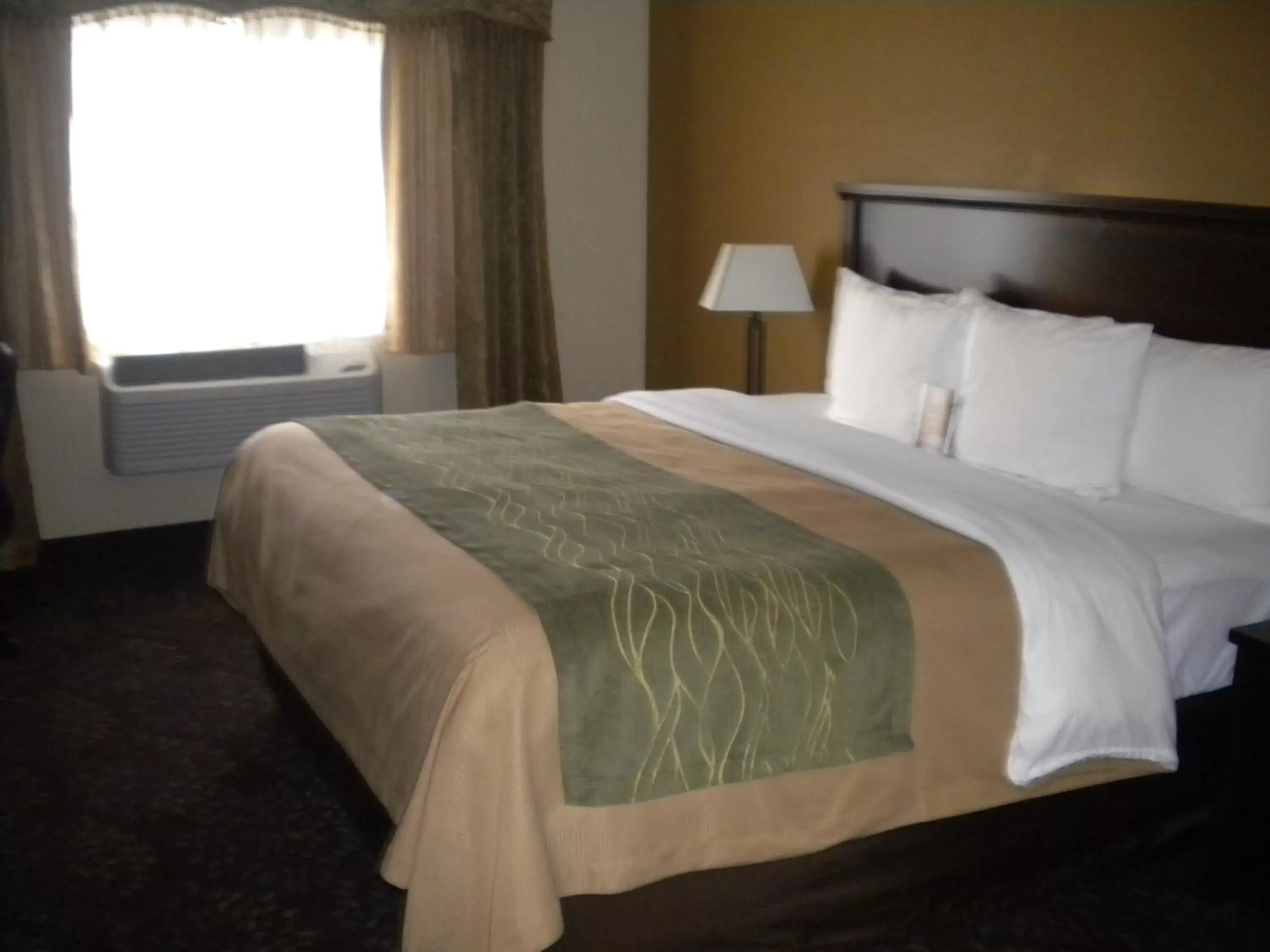 King Room - Pet Friendly in Comfort Inn Federal Way - Seattle King Room - Pet Friendly in Comfort Inn Federal Way - Seattle