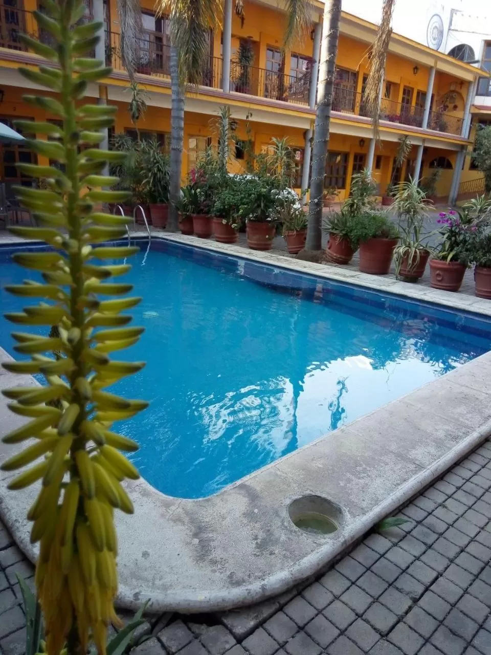 Swimming pool in Hotel Plaza del Sol