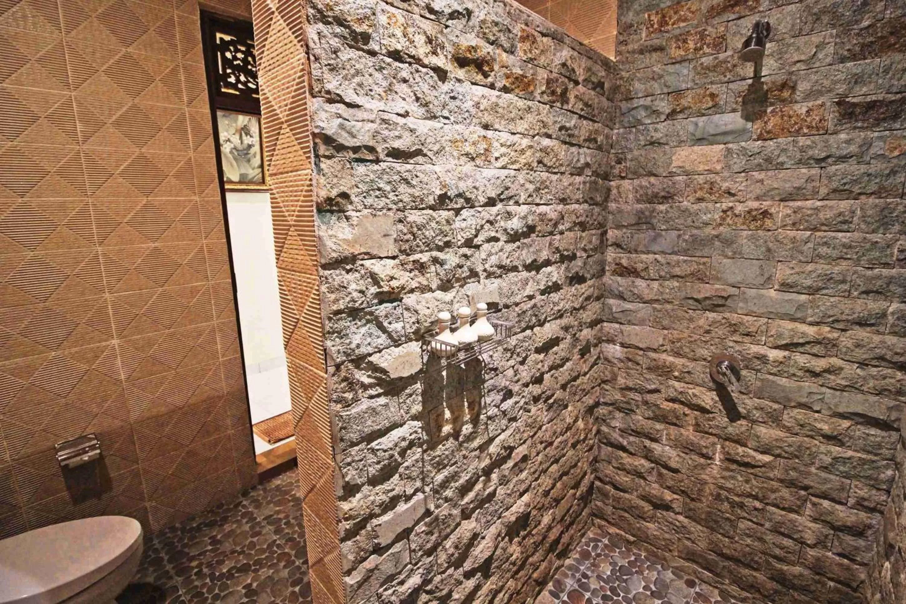 Shower in Nick's Pension