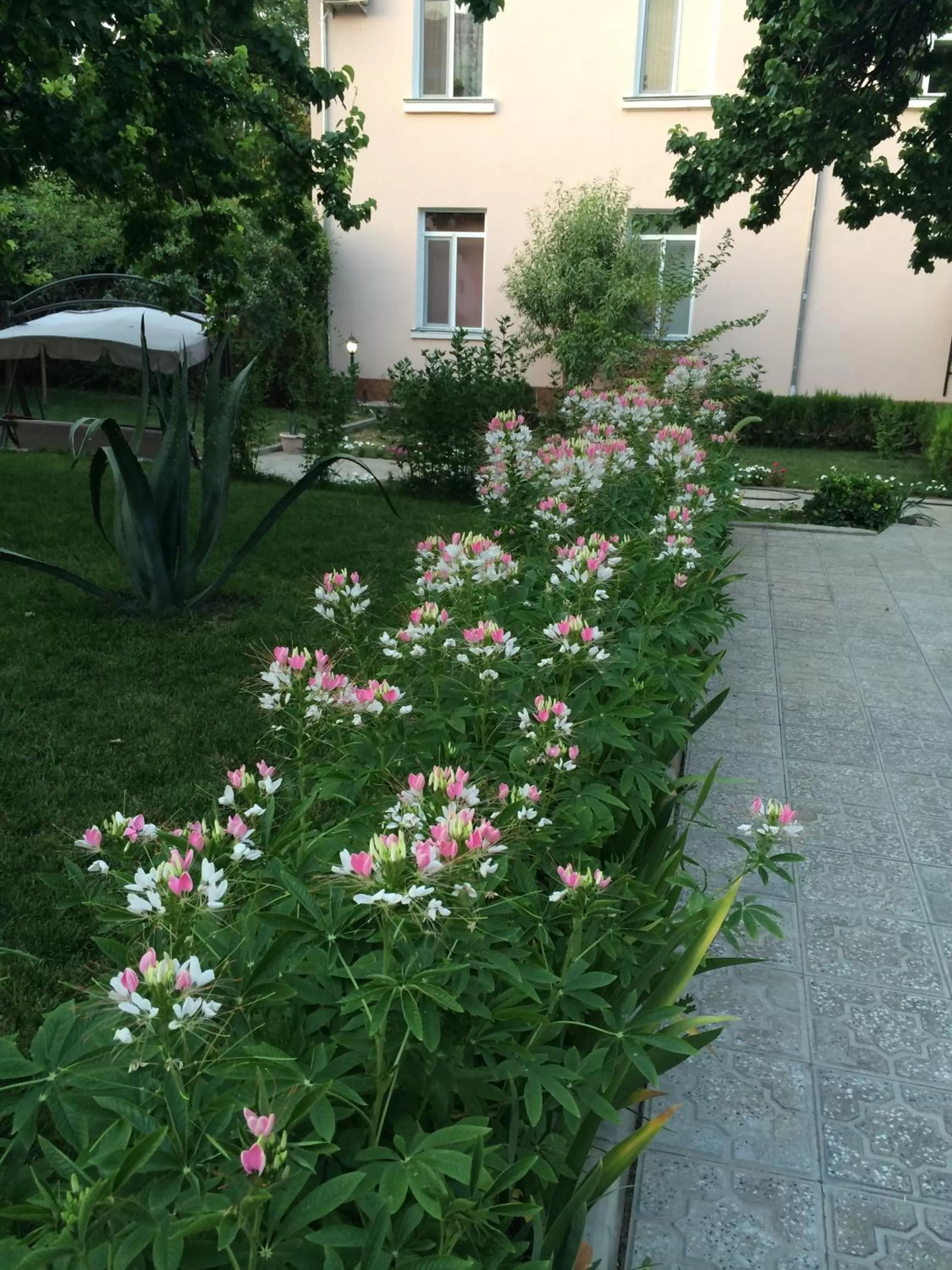 Day, Garden in Armon Apart Hotel