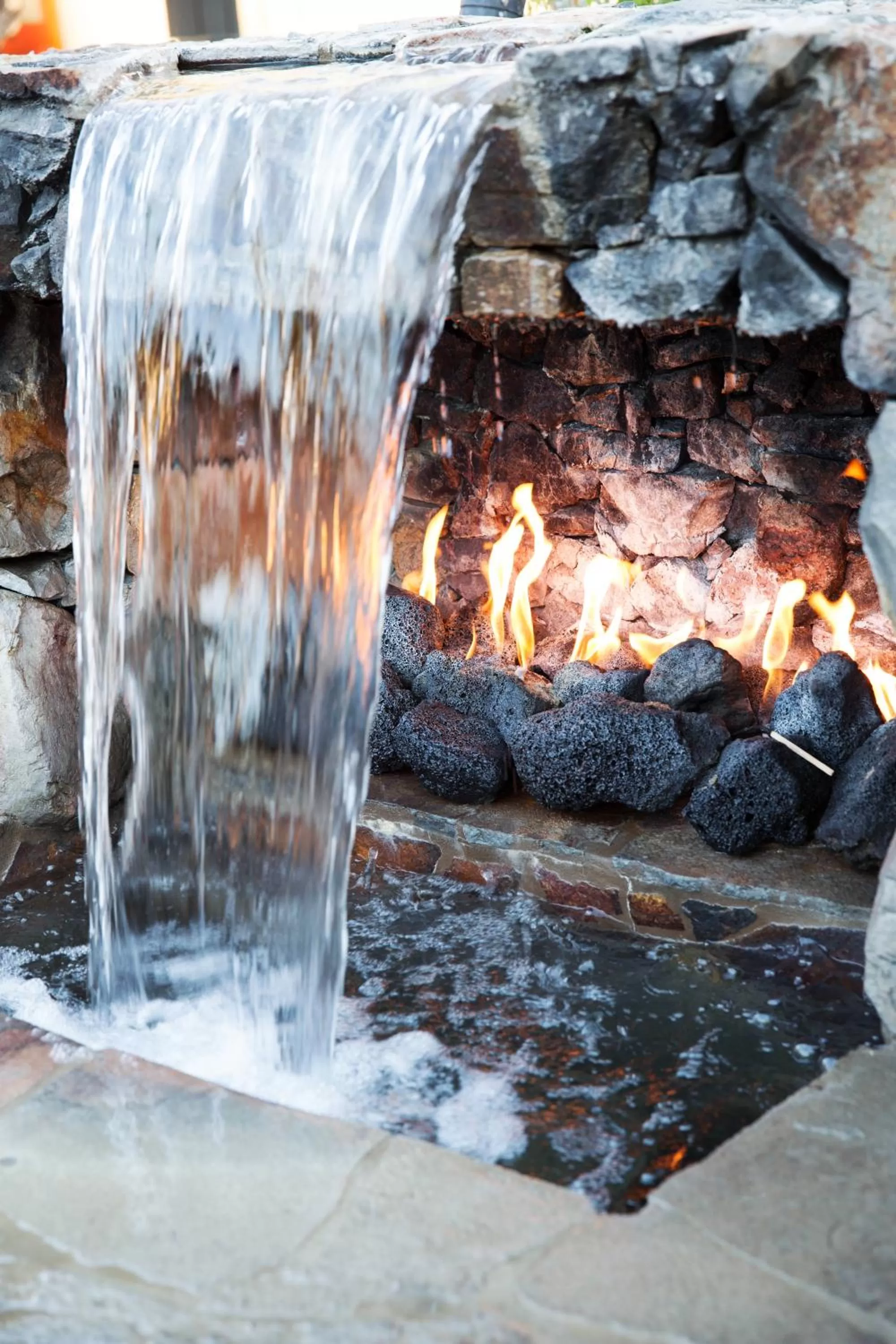 Day in Sparrows Lodge