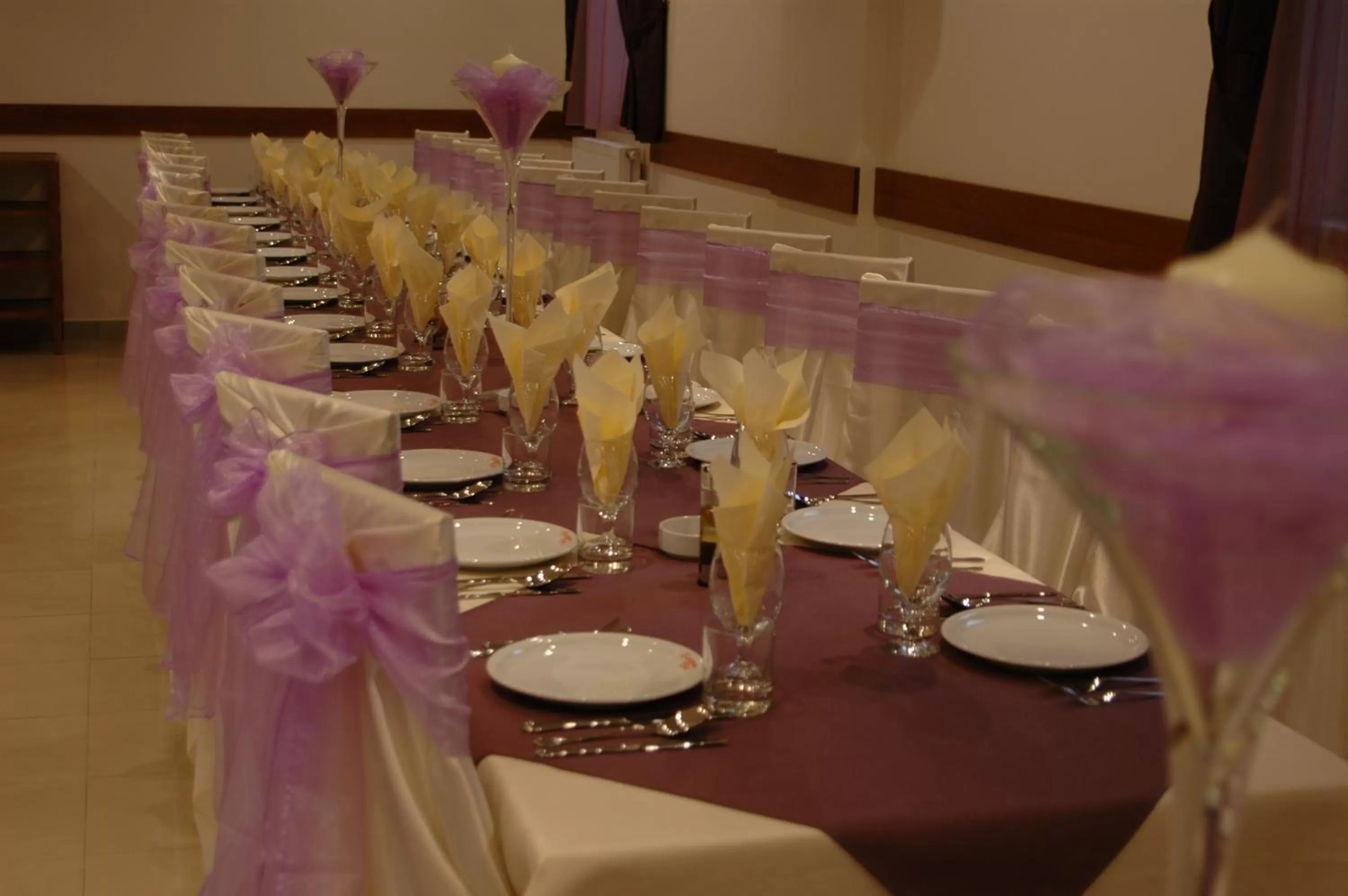 Banquet/Function facilities in Hotel Iris
