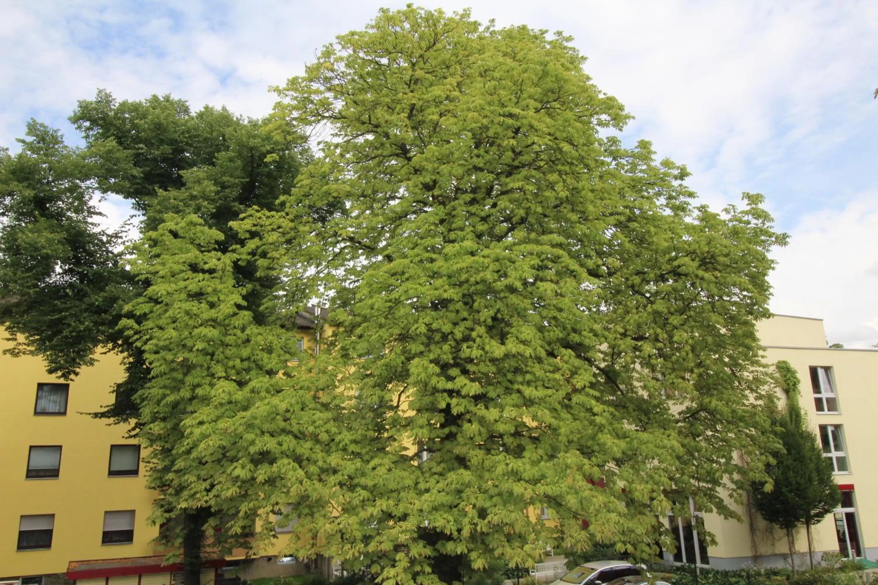 Property building in Apartments Tempelhof