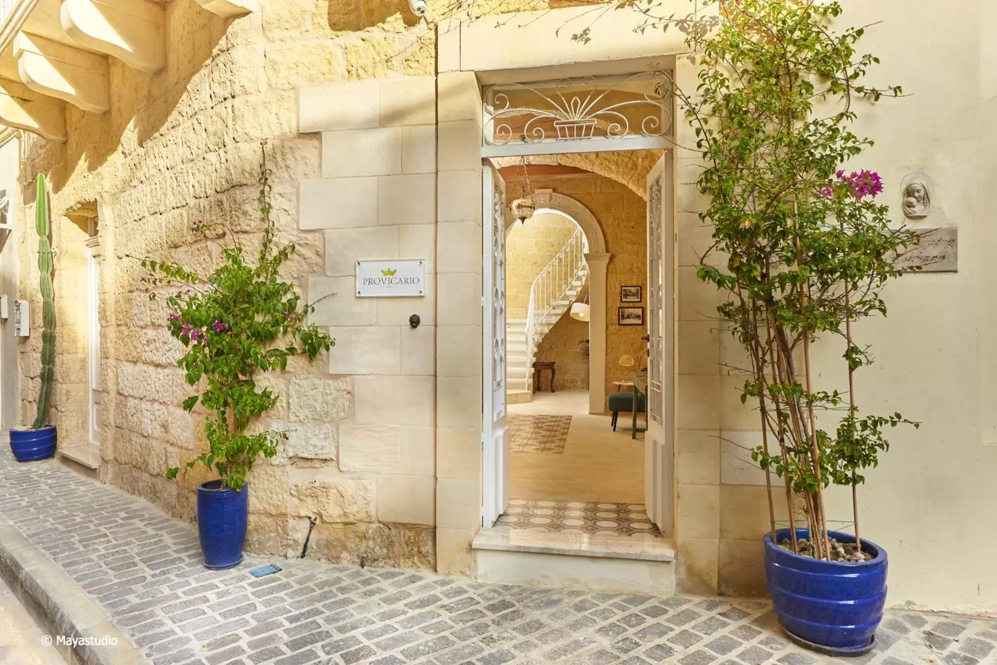 Provicario Provicario