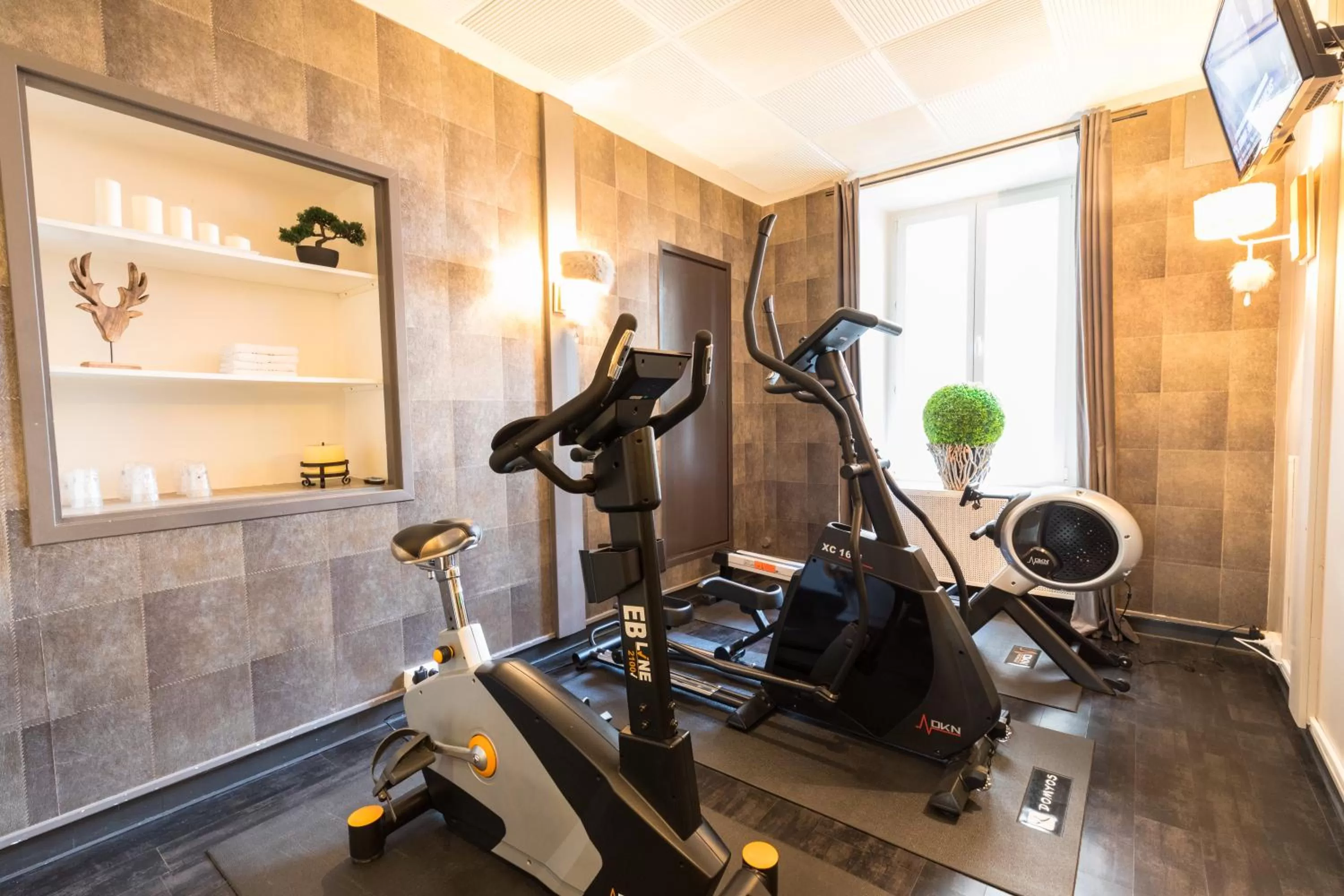 Fitness centre/facilities in Hôtel des Princes, Chambéry Centre