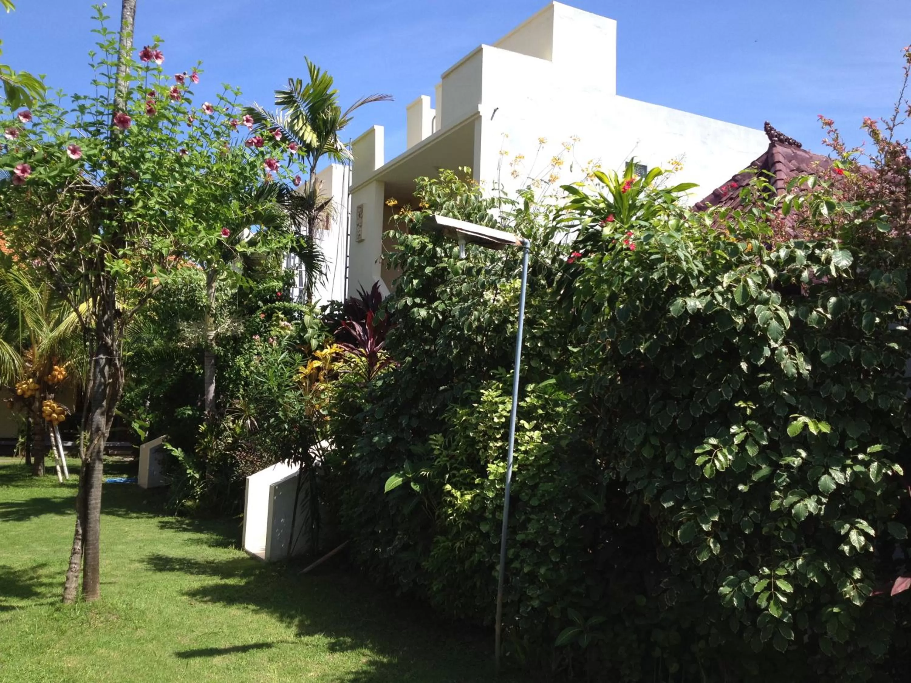 Garden, Property Building in Astina Hotel