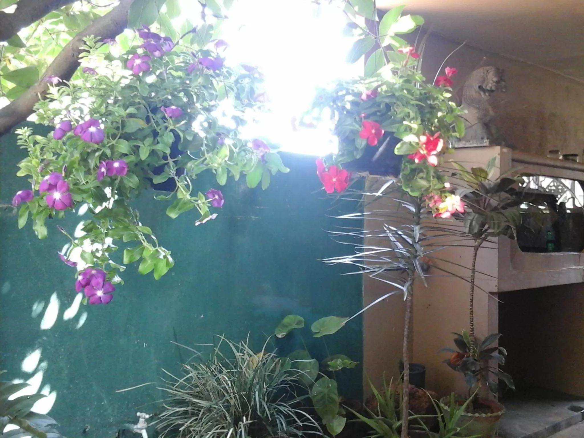 Day, Other Animals in House Of Esanya