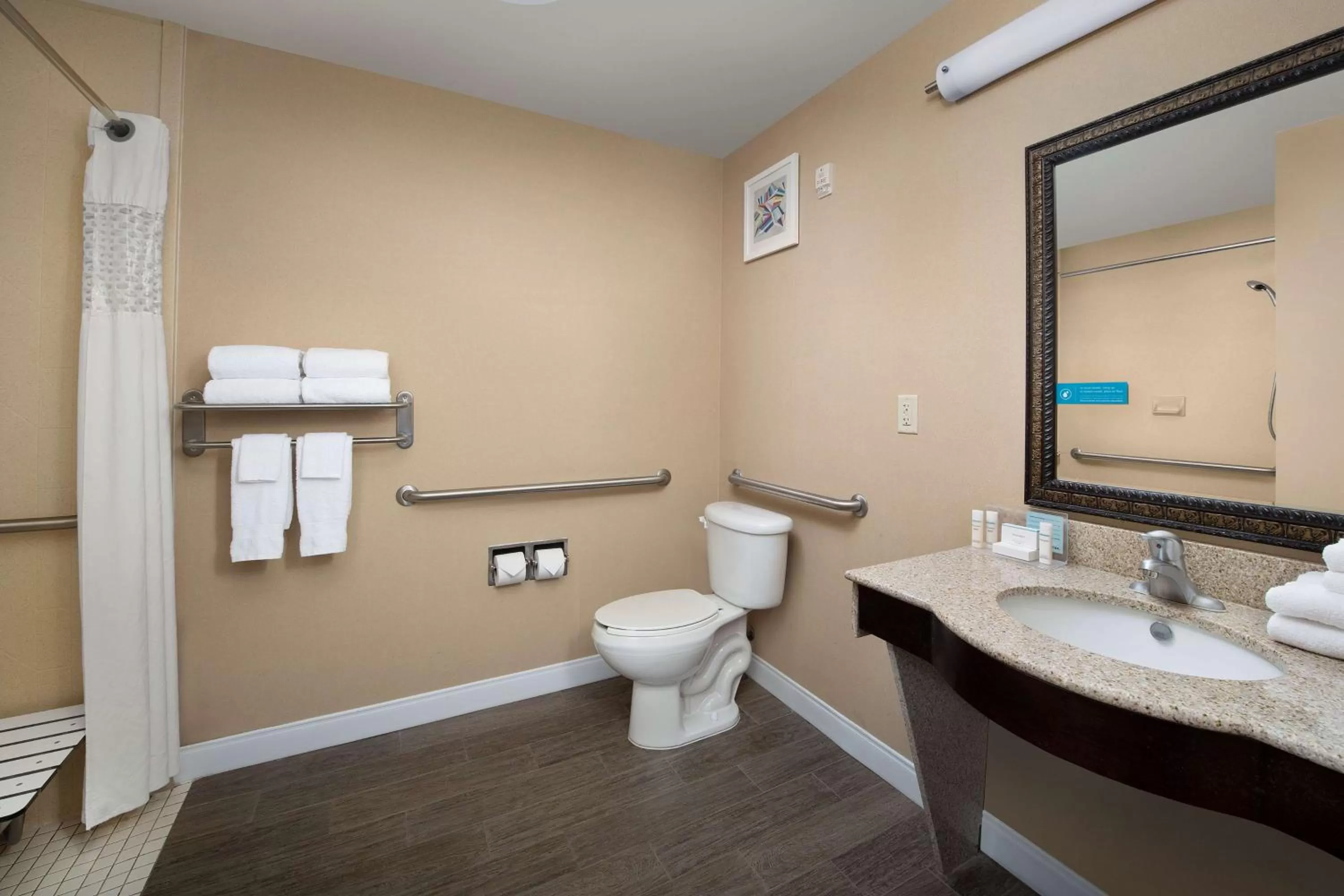 Bathroom in Hampton Inn & Suites Lakeland-South Polk Parkway