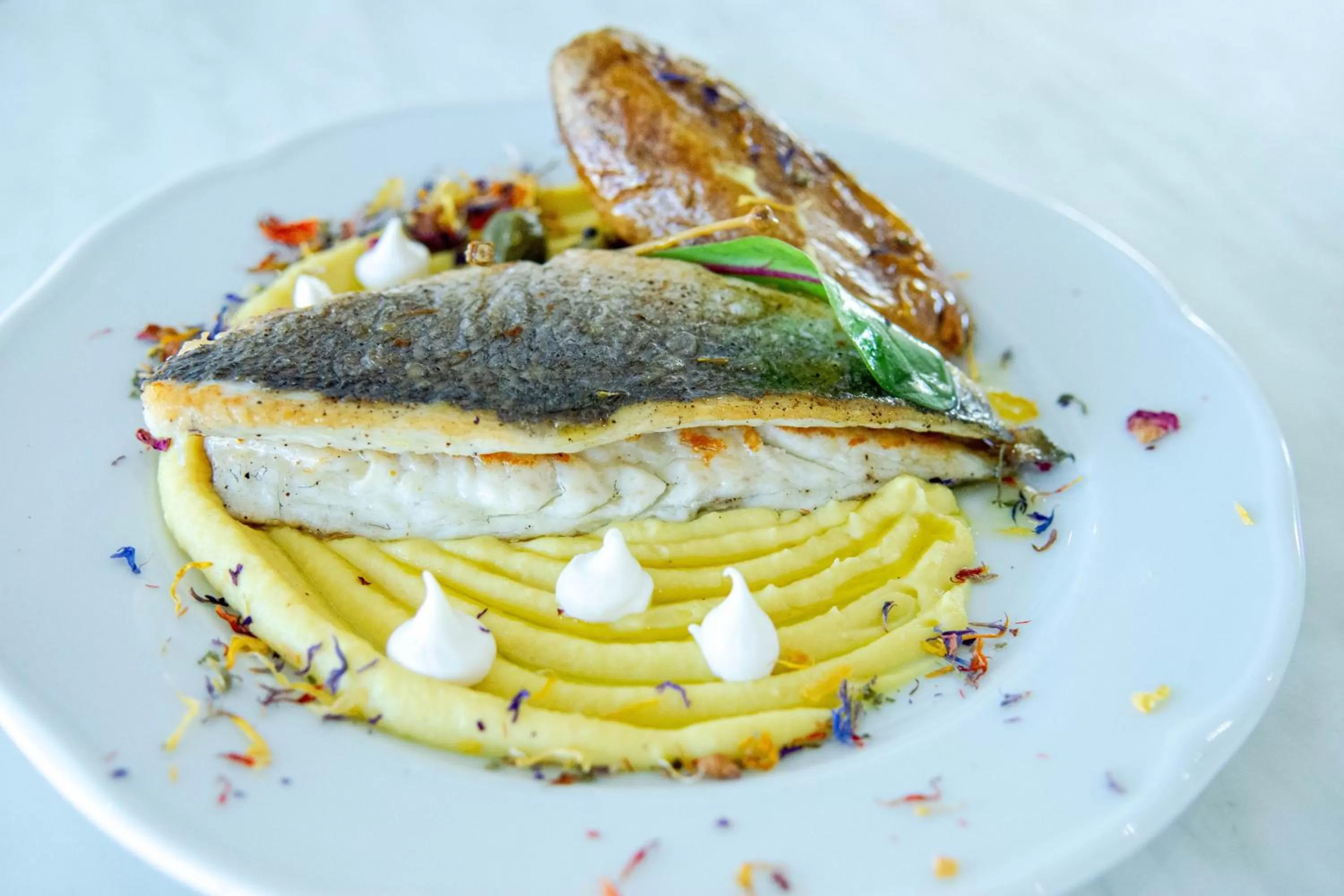 Food in FRESH HOTEL FALIRAKI