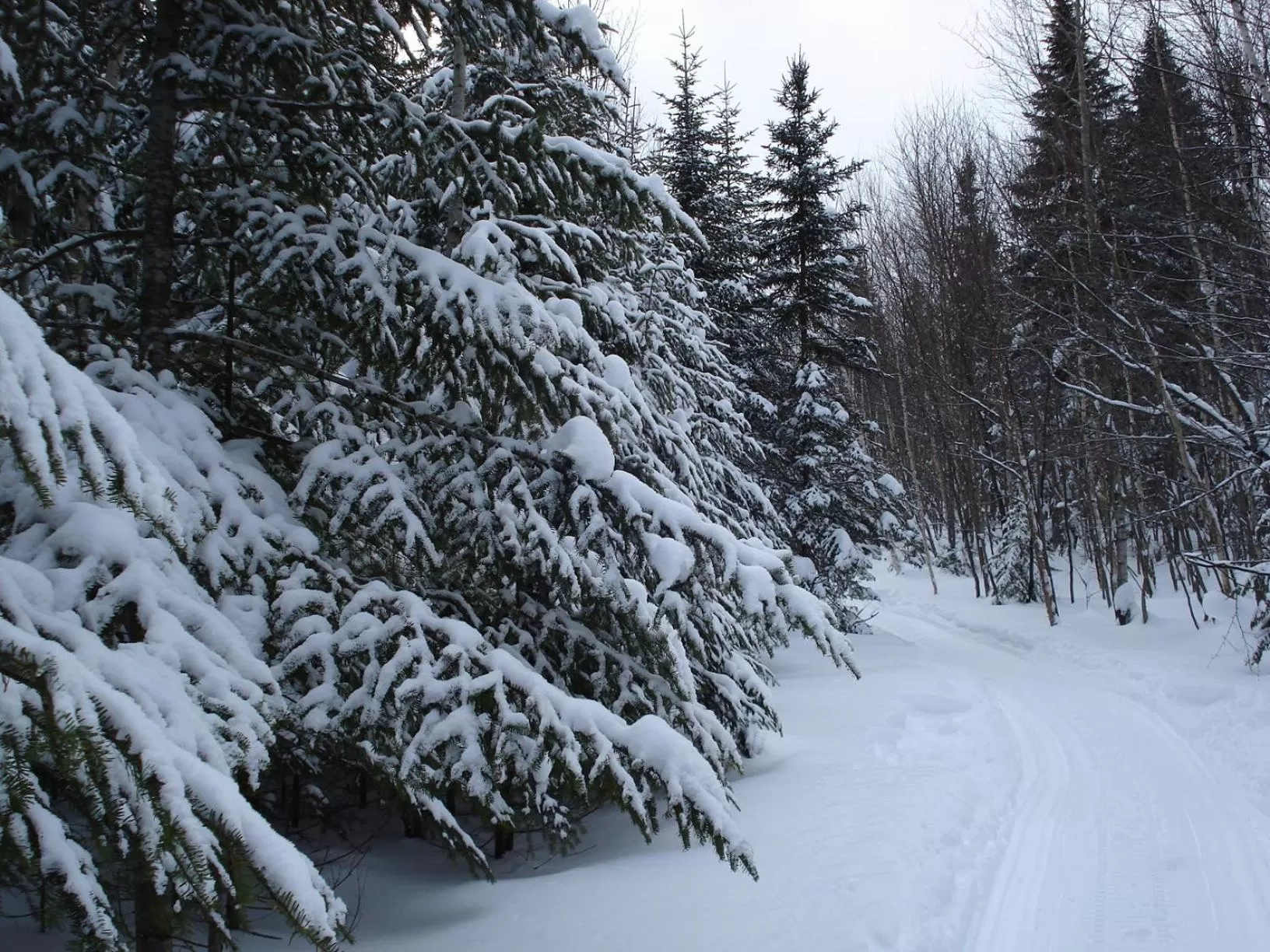 Area and facilities, Winter in Auberge La Tanière