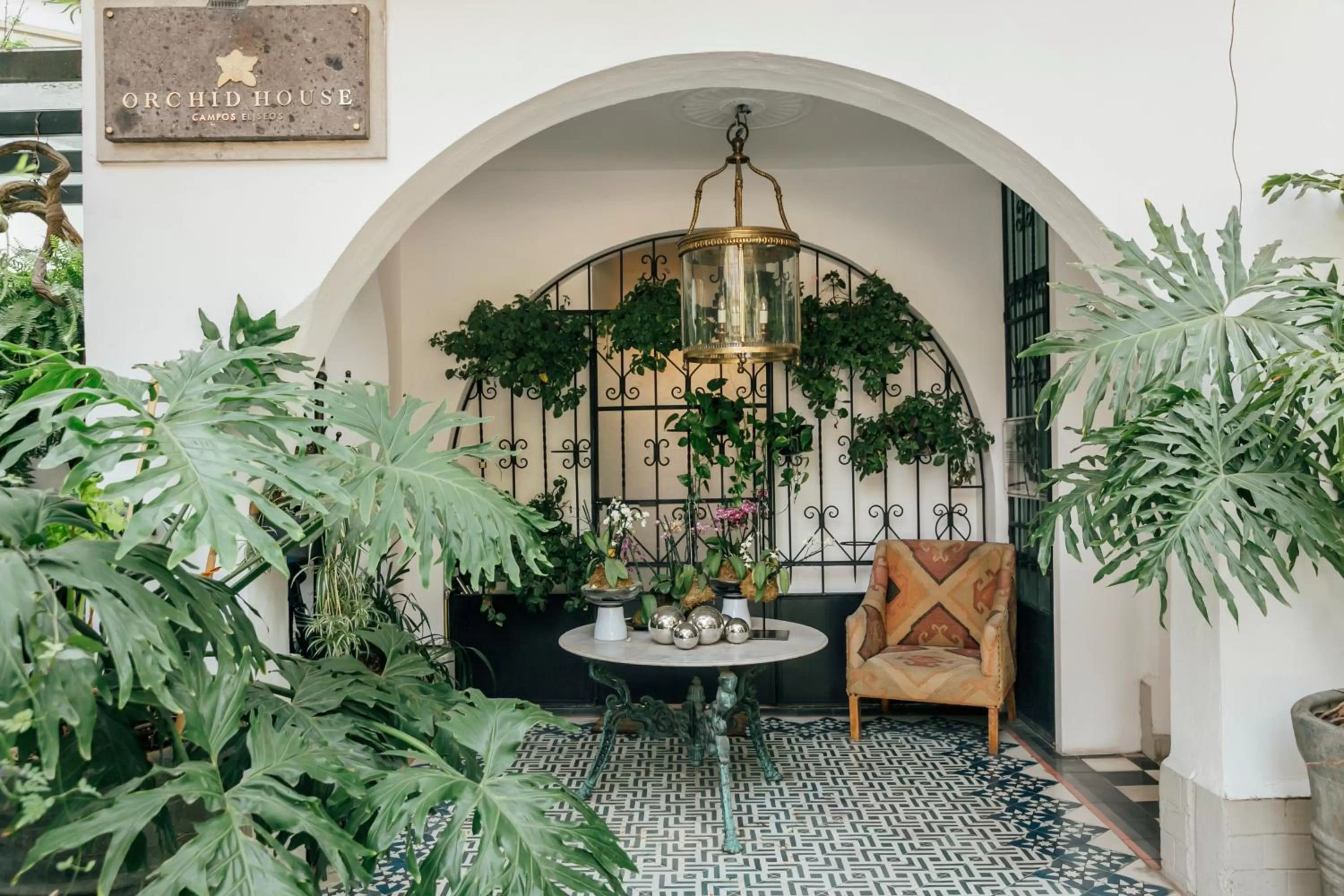 Property building in Orchid House Mexico City