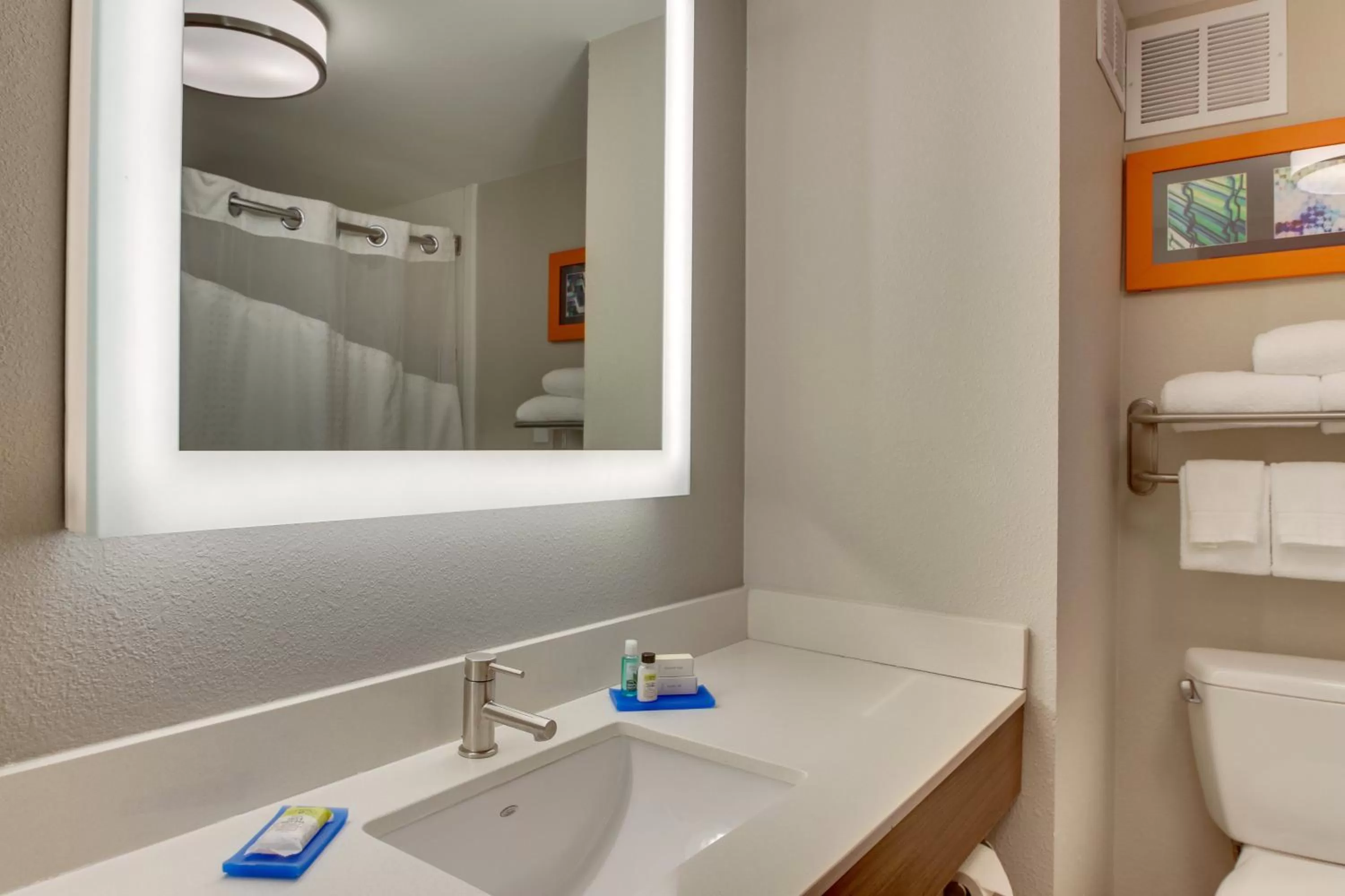 Bathroom in Holiday Inn Express & Suites Atlanta Perimeter Mall Hotel by IHG