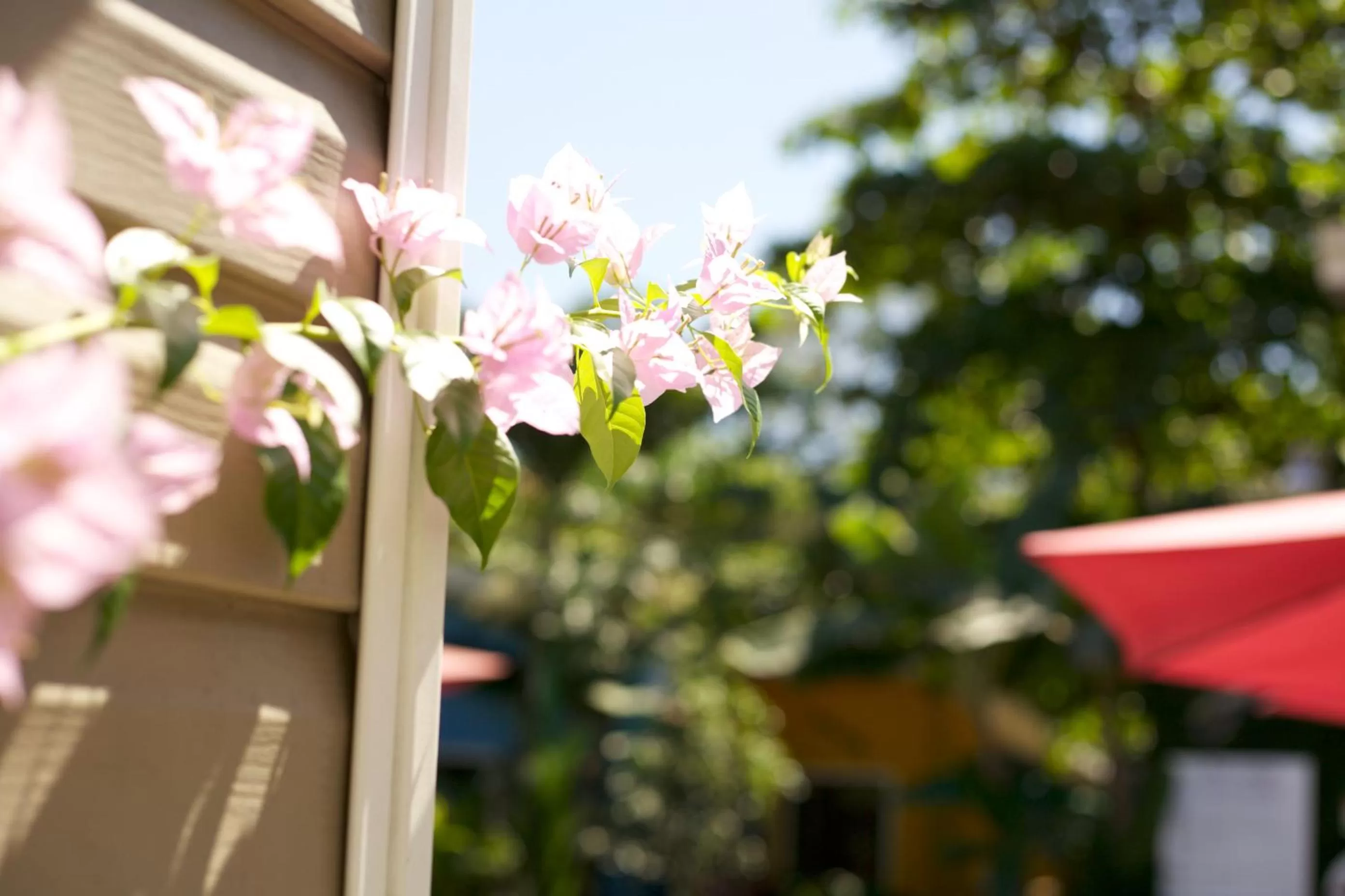 On site in Jaco Lodge Quiet Place