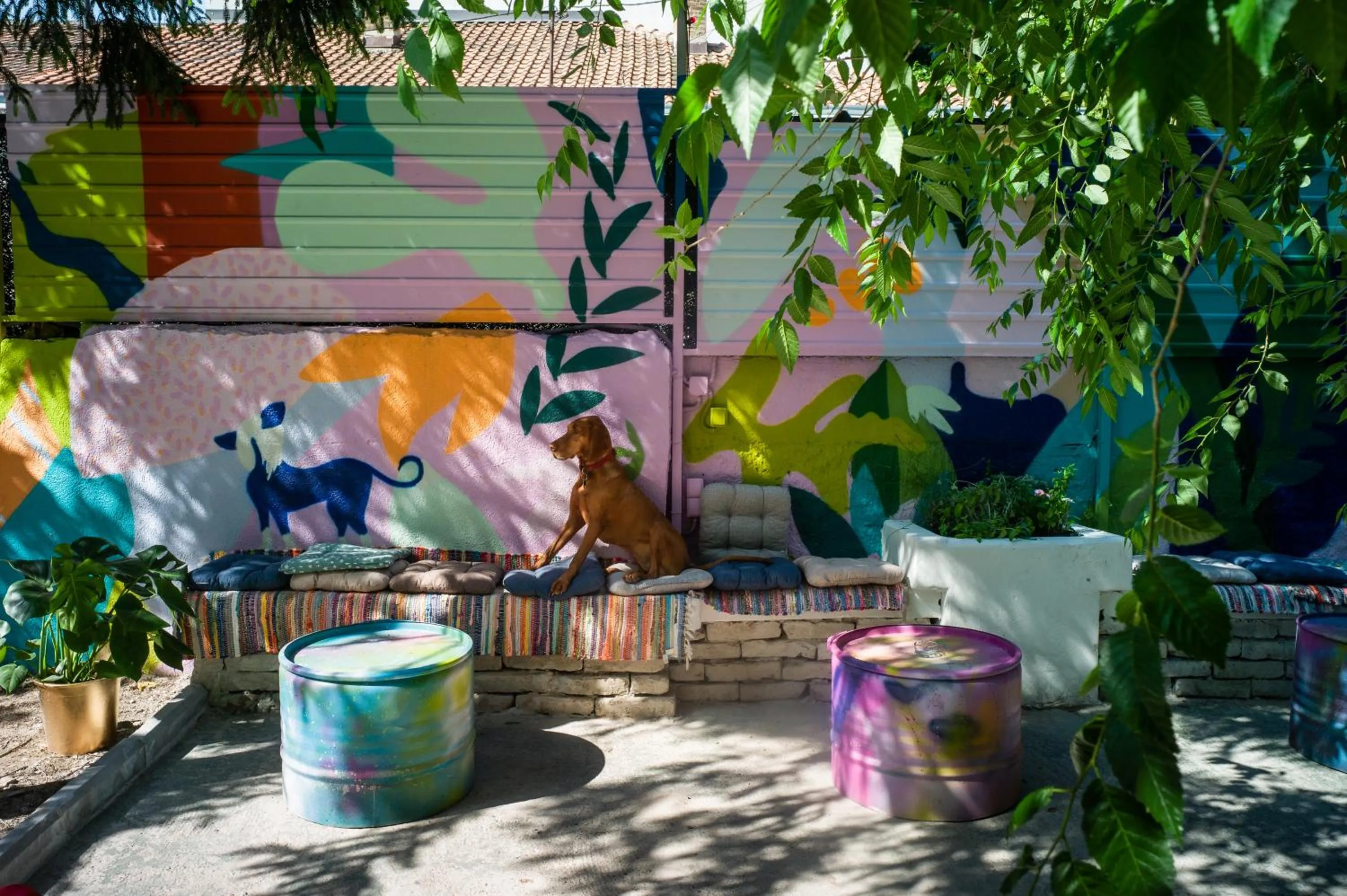 Patio in Good People Design Hostel