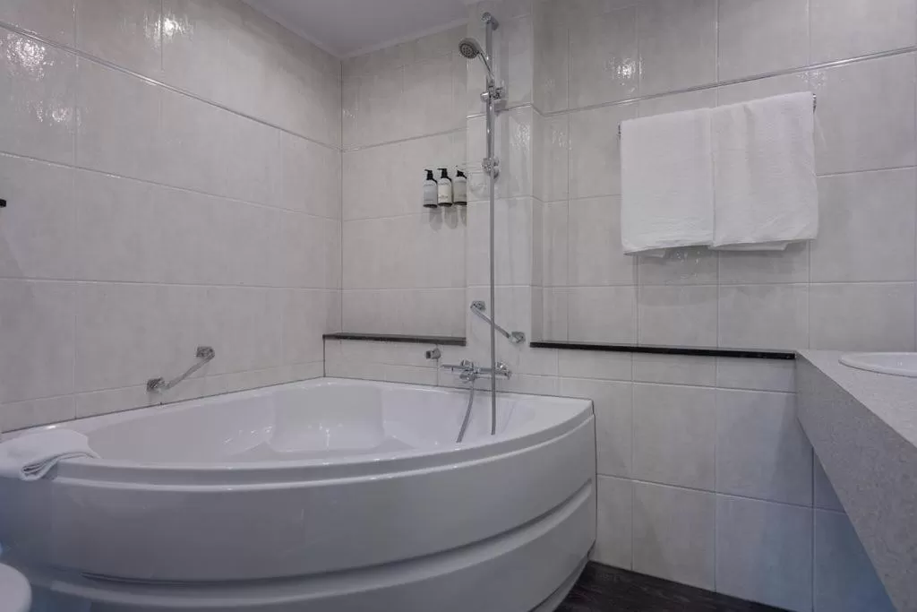 Bathroom in Boutique Hotel Slenaker Vallei - Buitengewoongenieten