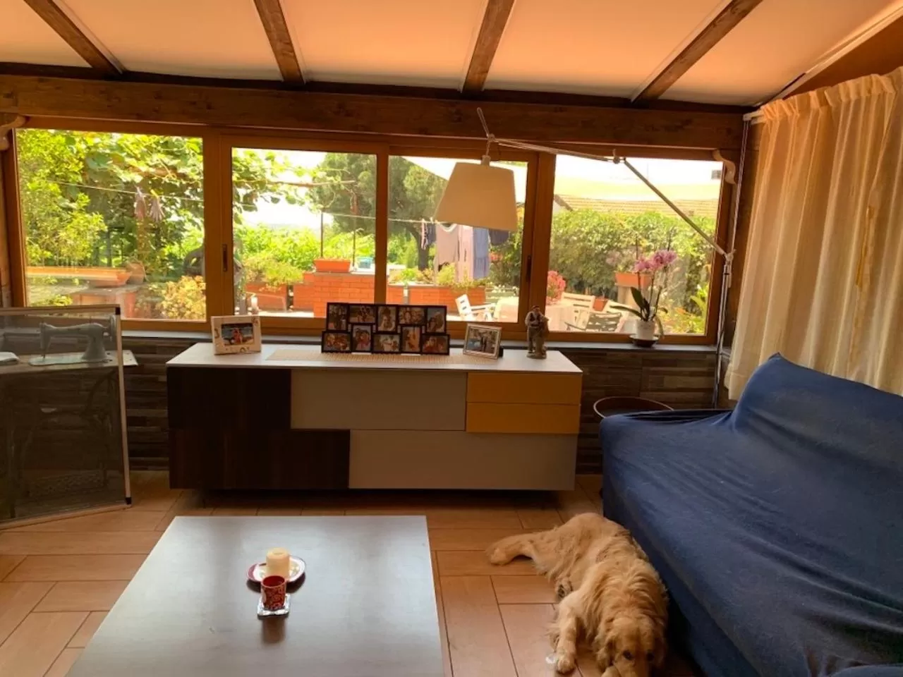 Pets in b&b Casa di Antonio_Etna Vacanze