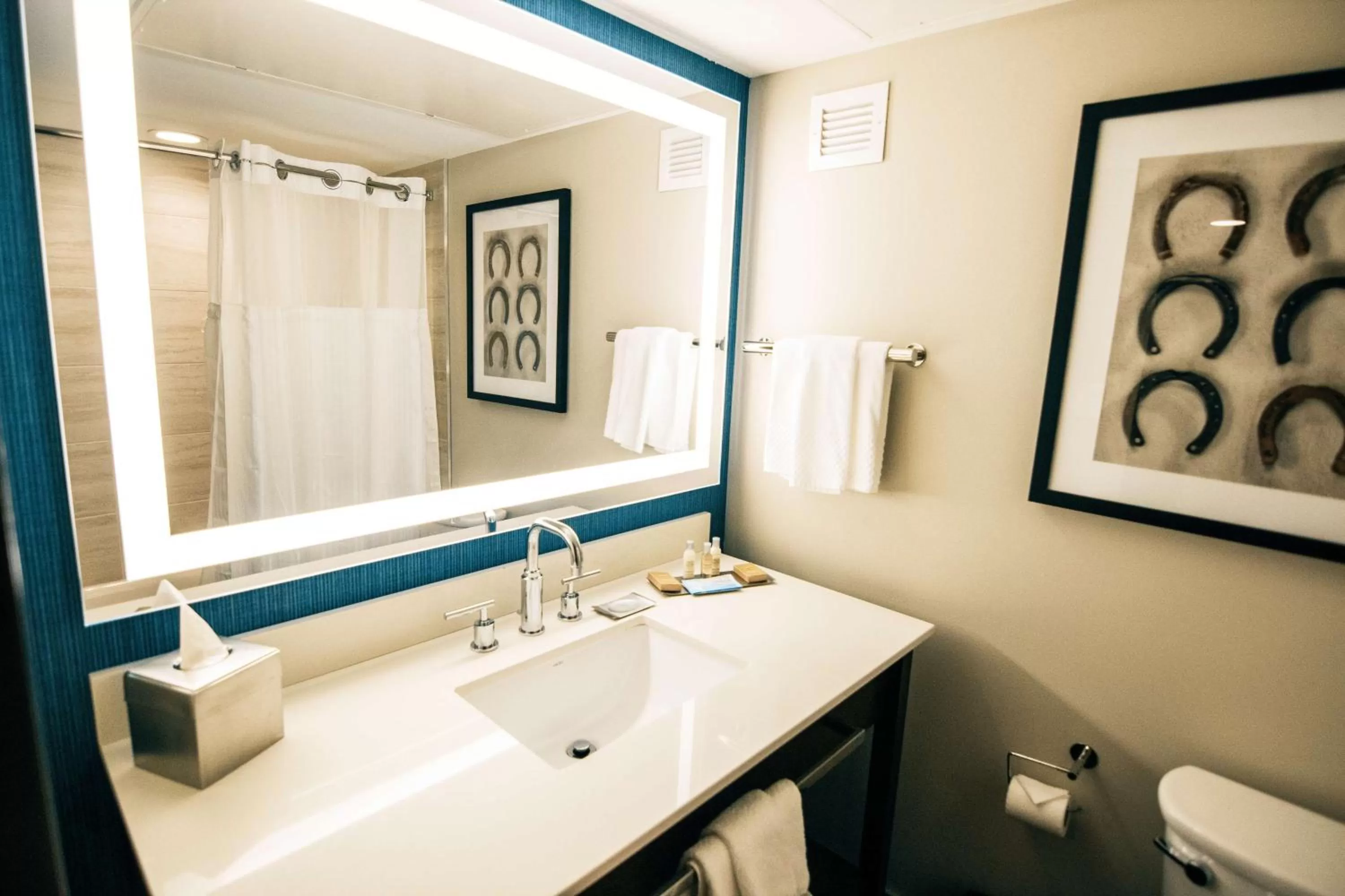 Bathroom in Doubletree By Hilton Lubbock - University Area