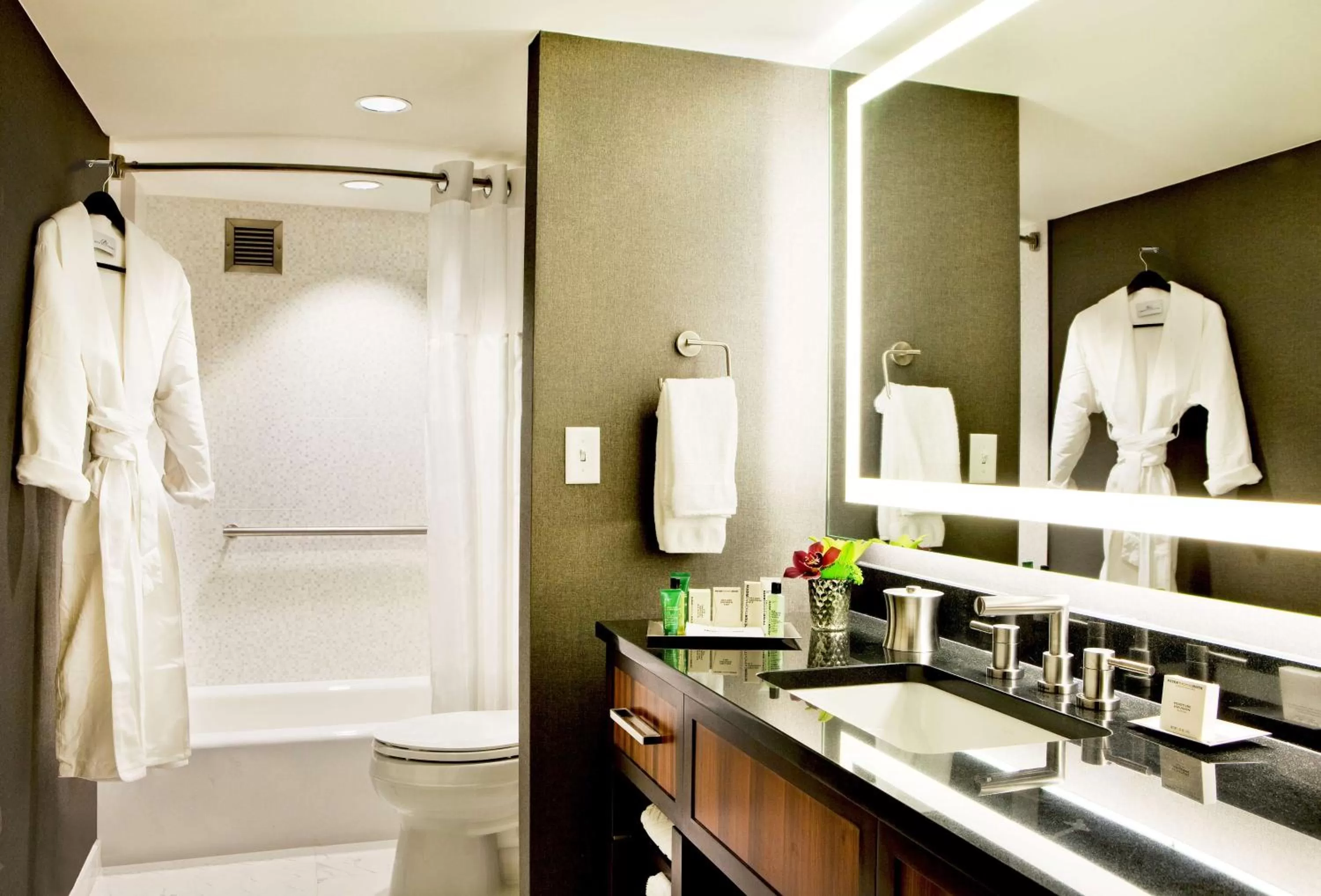 Bathroom in Hilton Nashville Downtown